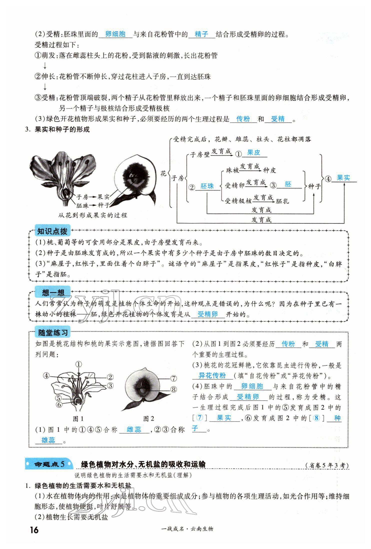 2022年一战成名考前新方案生物云南专版 第16页