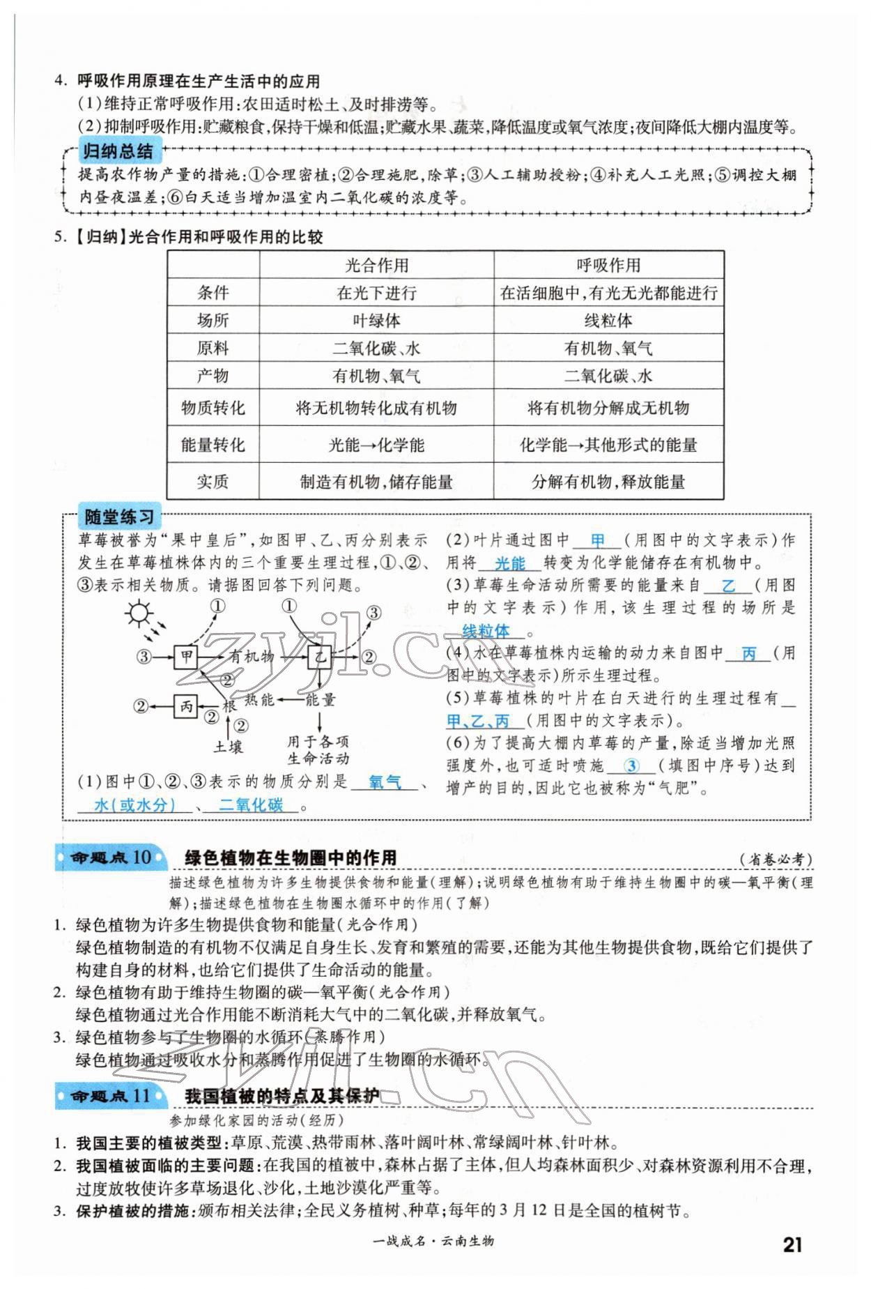 2022年一战成名考前新方案生物云南专版 第21页