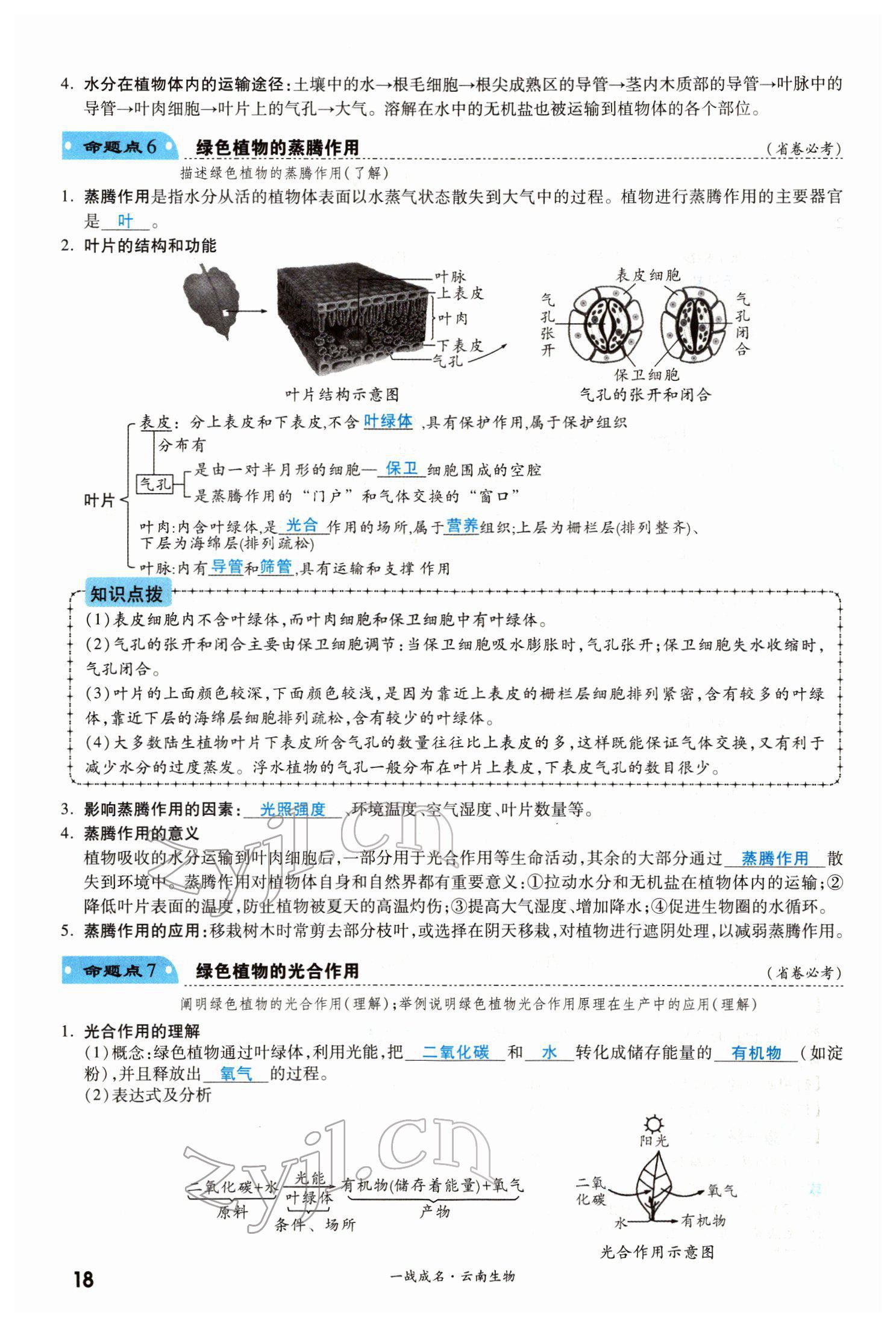 2022年一戰(zhàn)成名考前新方案生物云南專版 第18頁