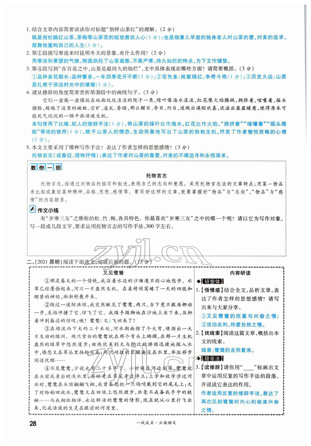 2022年一战成名考前新方案语文云南专版 参考答案第51页