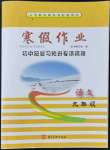 2022年寒假作业河北美术出版社九年级语文