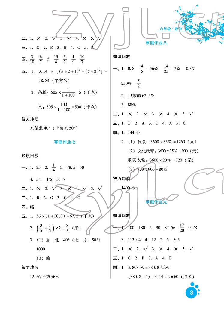 2022年寒假生活六年級數(shù)學(xué)河北少年兒童出版社 參考答案第3頁