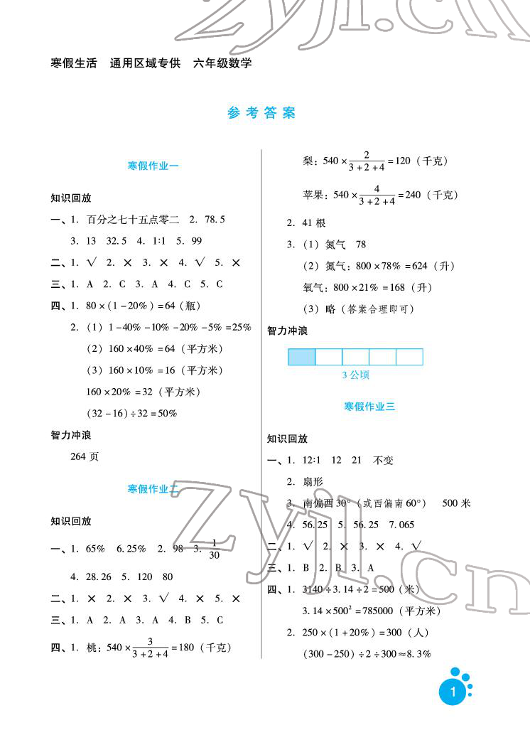 2022年寒假生活六年级数学河北少年儿童出版社 参考答案第1页