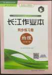 2022年長江作業(yè)本同步練習冊九年級物理下冊人教版