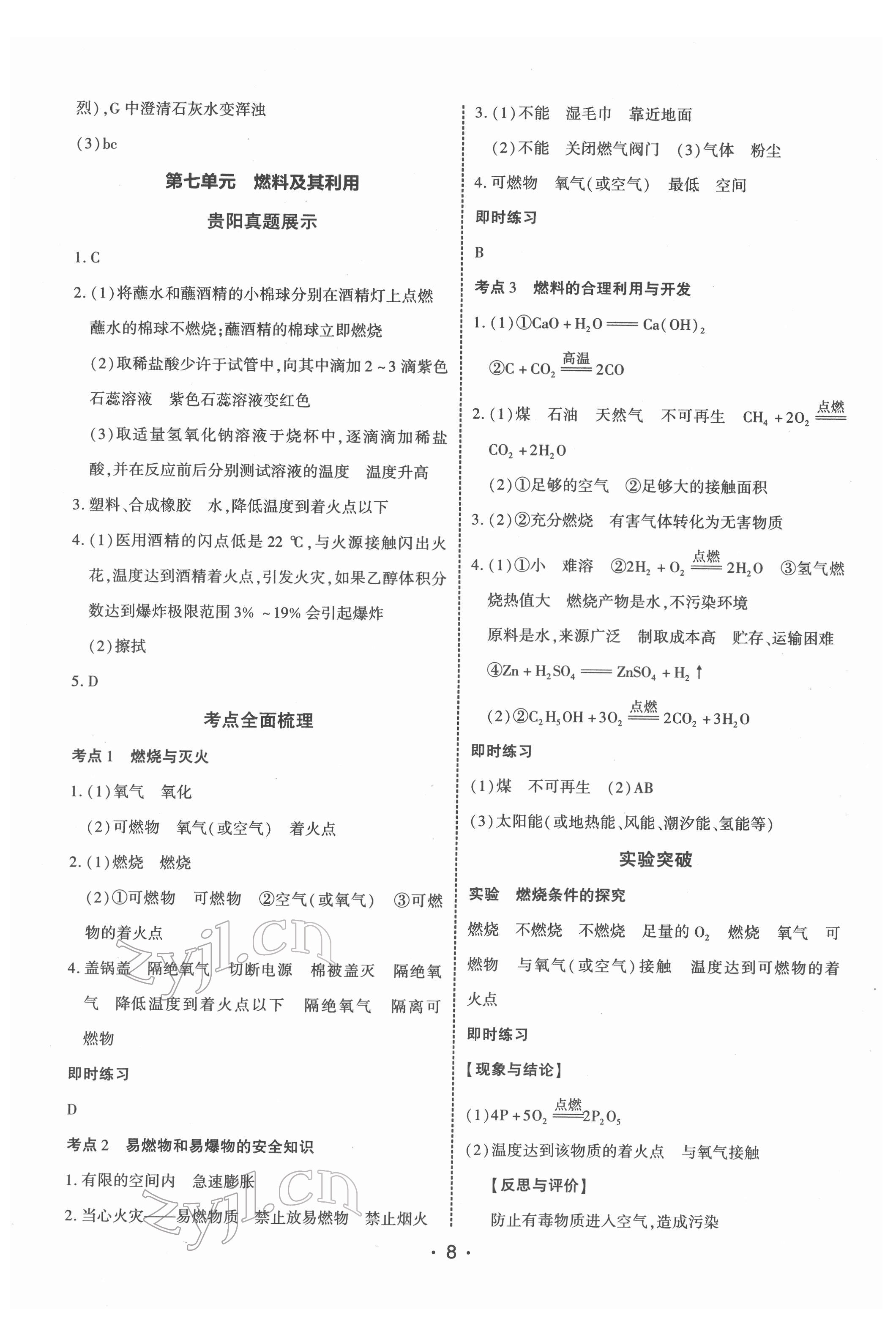 2022年貴州中考總復習終極備戰(zhàn)化學貴陽專版 第8頁