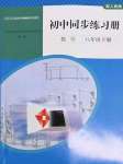 2022年同步练习册人民教育出版社八年级数学下册人教版山东专版