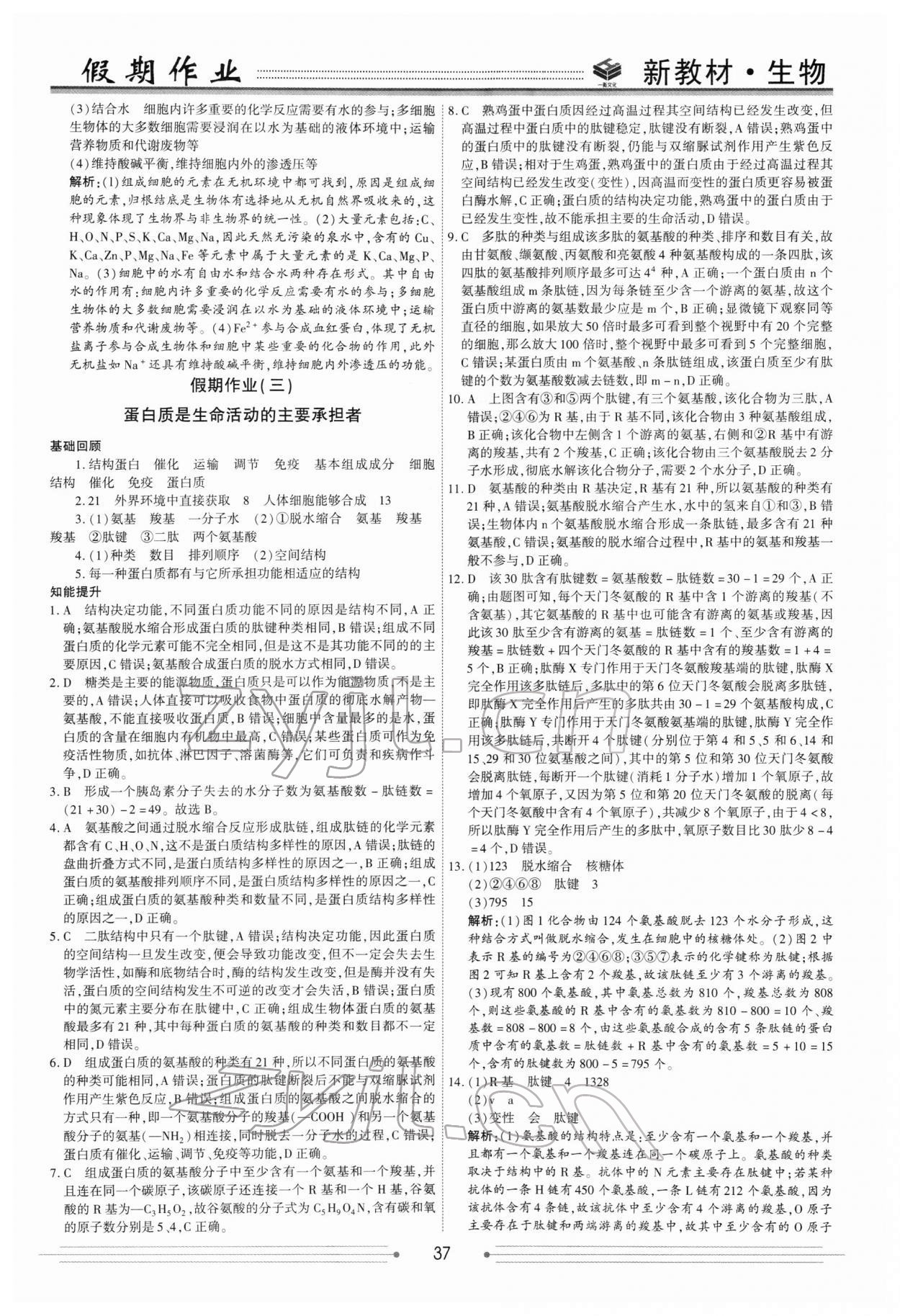 2022年衡水金卷衡中假期高一生物 第3頁(yè)