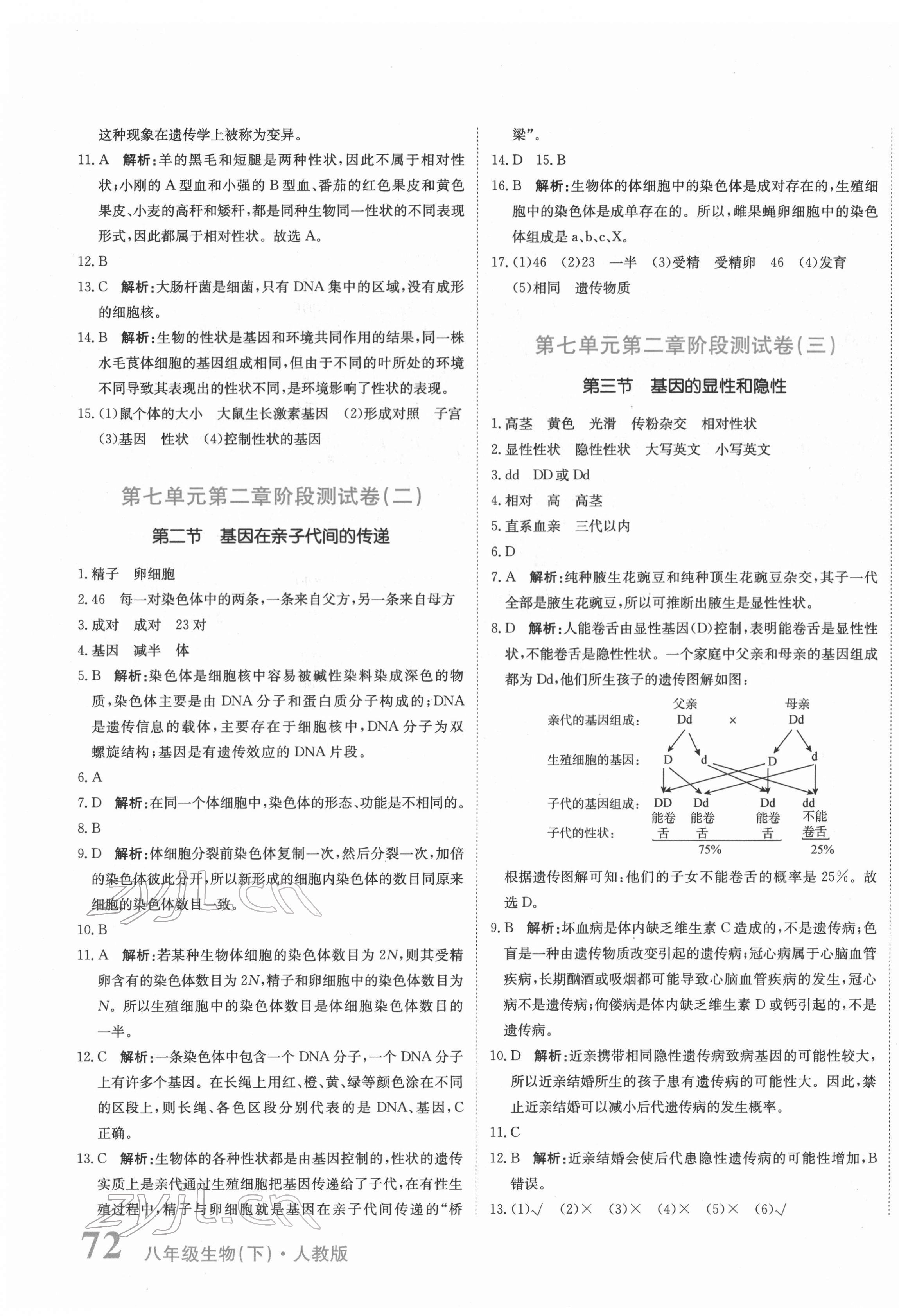 2022年提分教練八年級生物下冊人教版 第3頁