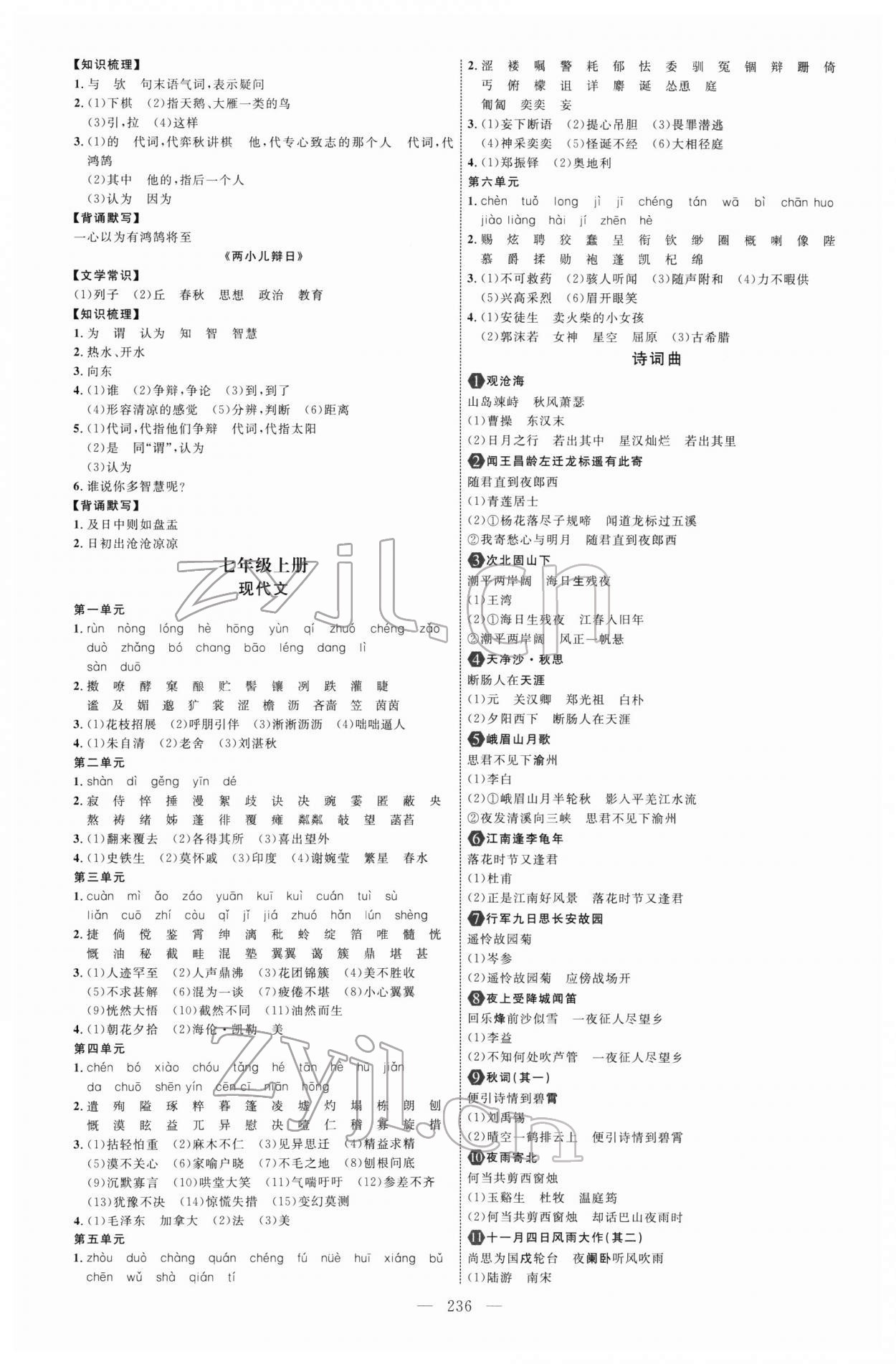 2022年初中總復(fù)習(xí)全程導(dǎo)航語(yǔ)文人教版煙臺(tái)專版 參考答案第3頁(yè)