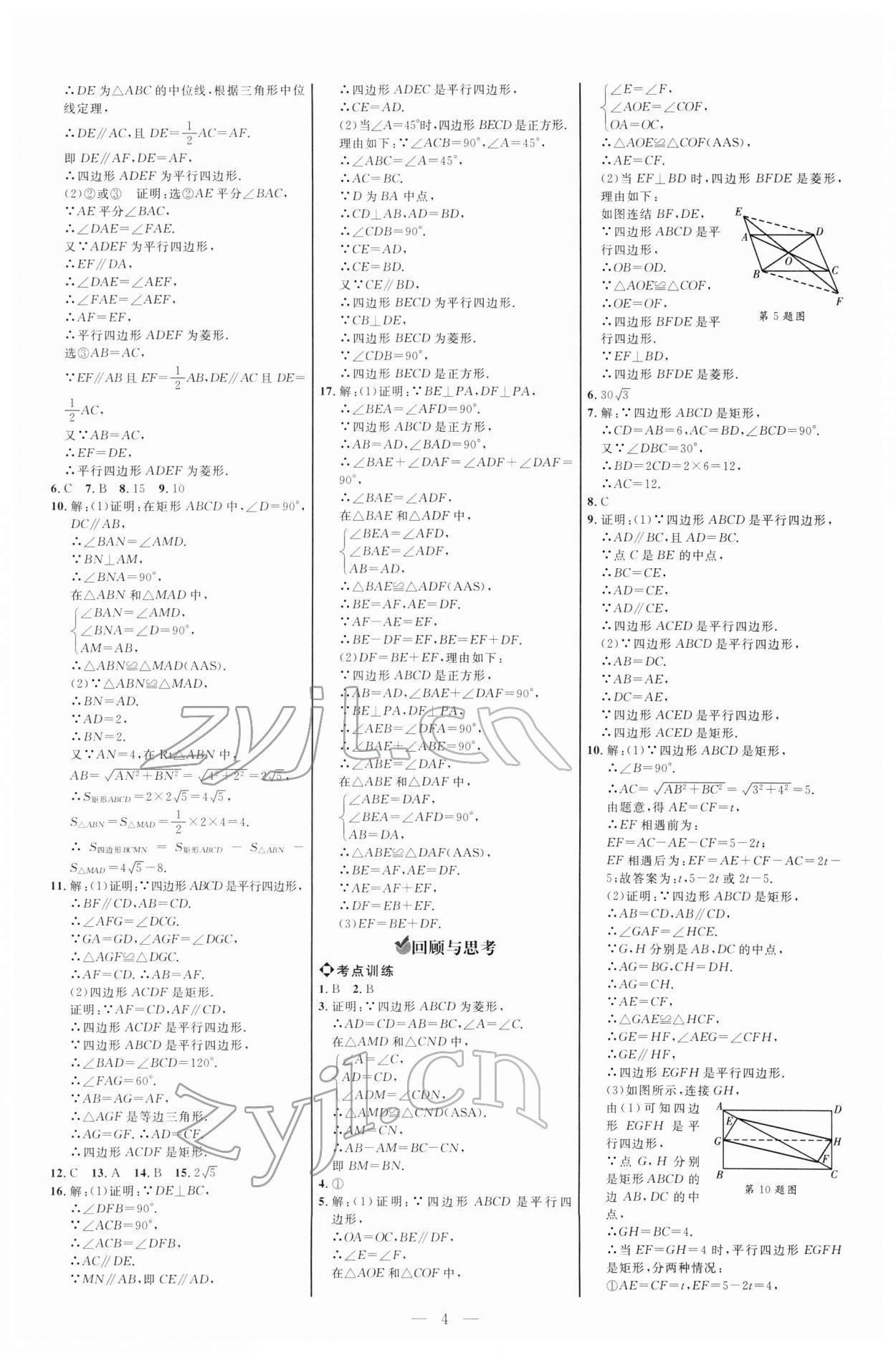 2022年细解巧练八年级数学下册鲁教版五四制 参考答案第3页