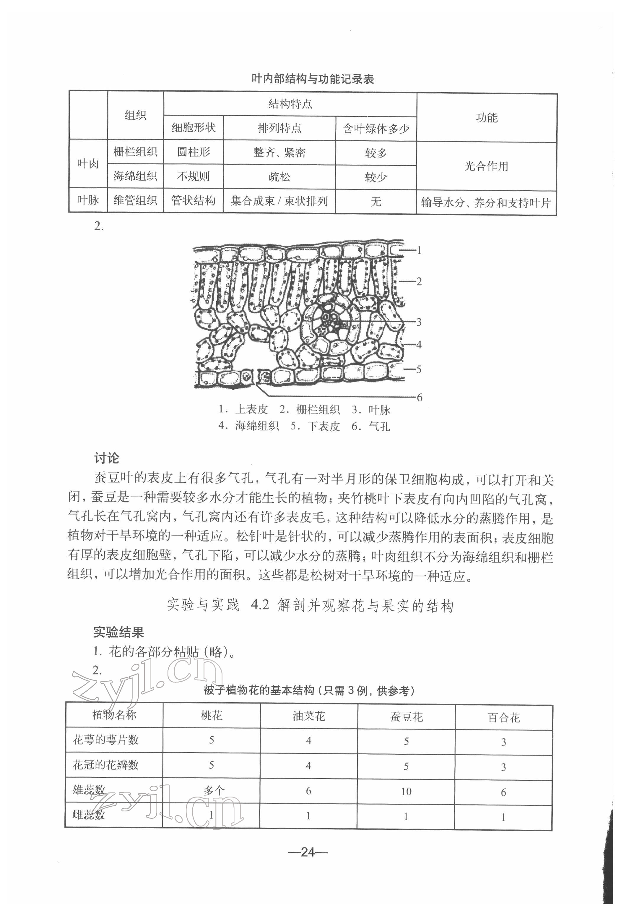 2022年練習(xí)部分七年級(jí)生物第二冊(cè)滬教版54制 參考答案第4頁(yè)