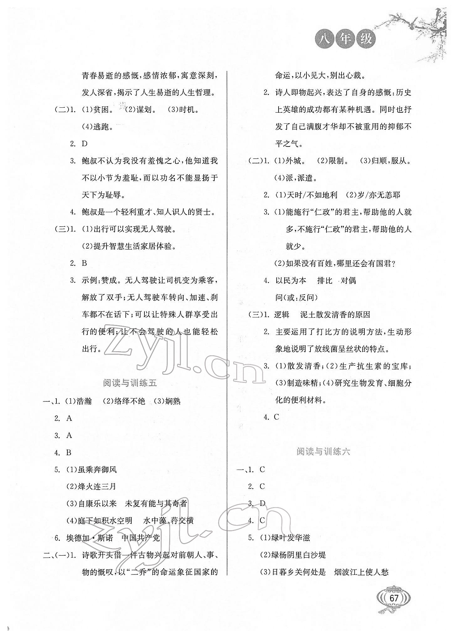 2022年閱讀與訓(xùn)練八年級語文河北美術(shù)出版社 第3頁