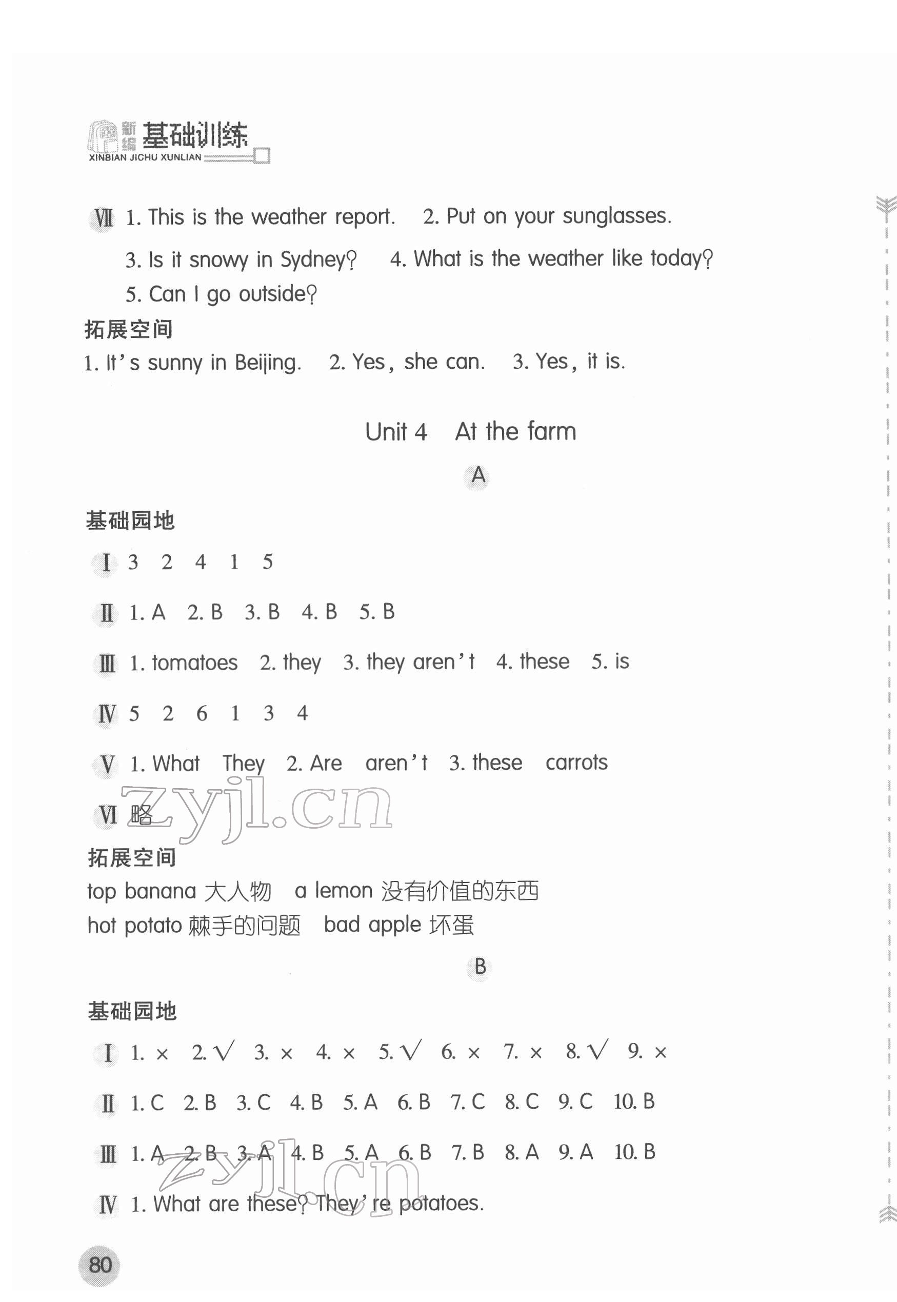 2022年新编基础训练四年级英语下册人教版 第5页