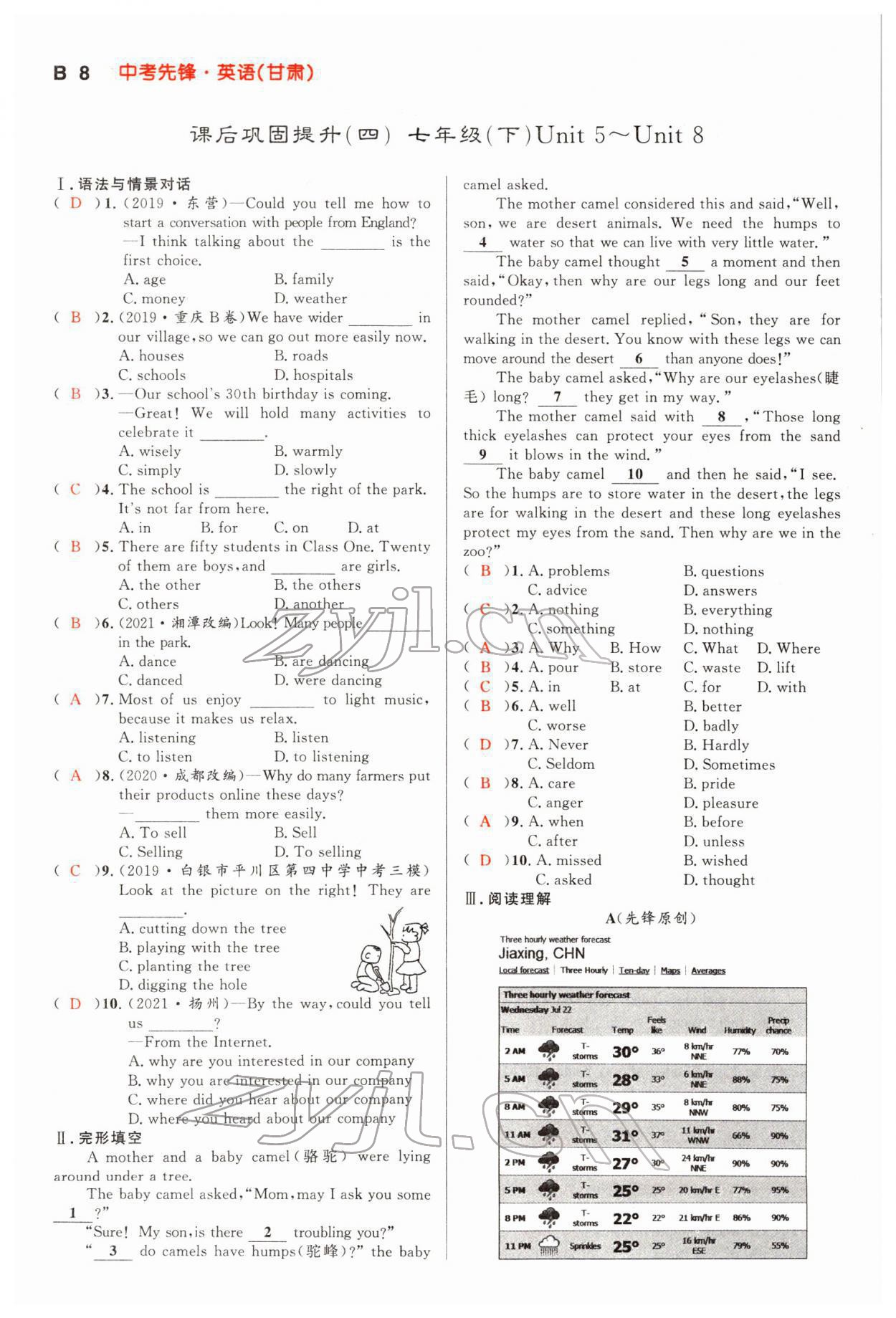 2022年中考先鋒英語甘肅專版吉林出版集團 參考答案第31頁
