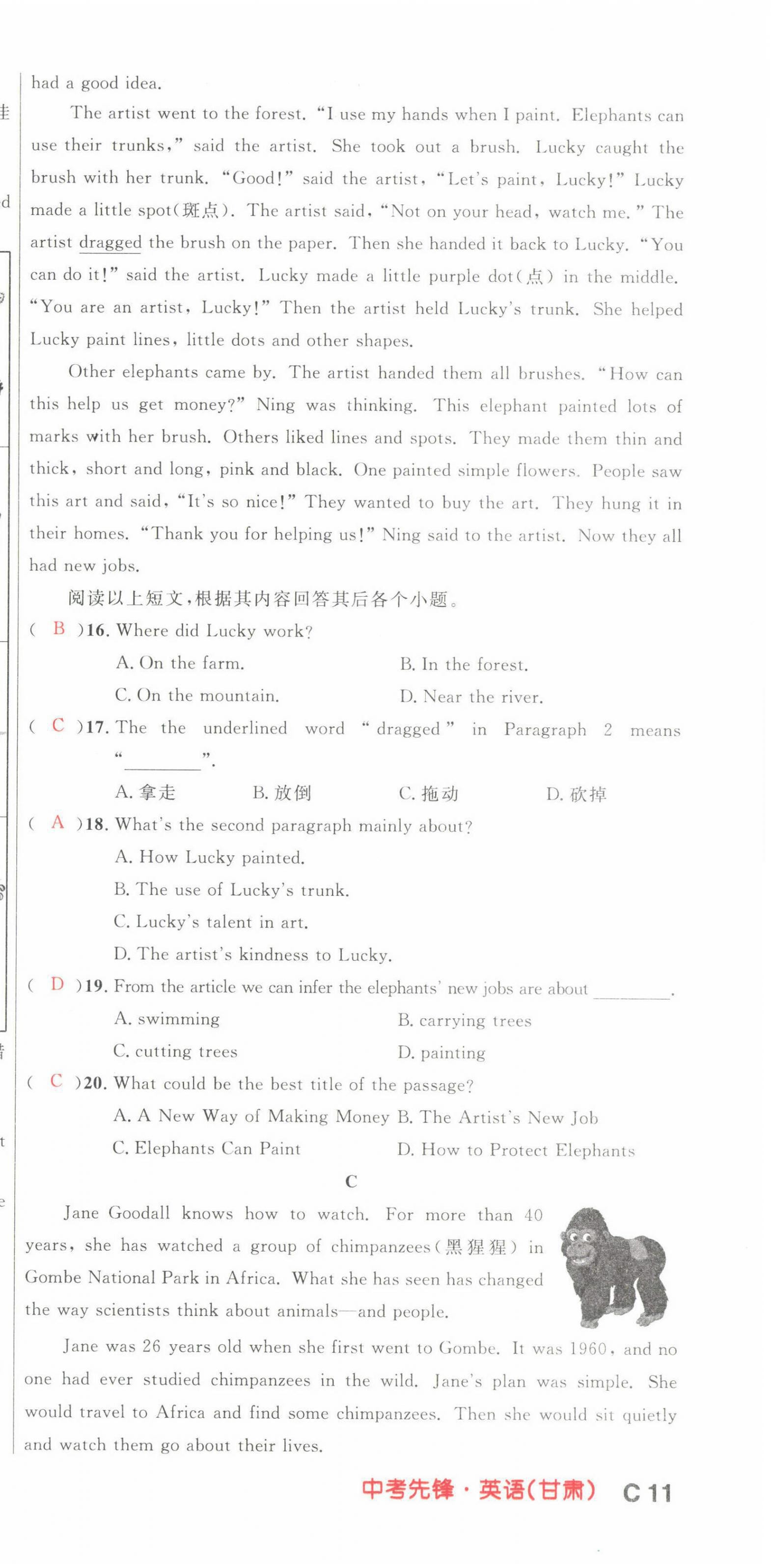 2022年中考先鋒英語甘肅專版吉林出版集團 第33頁