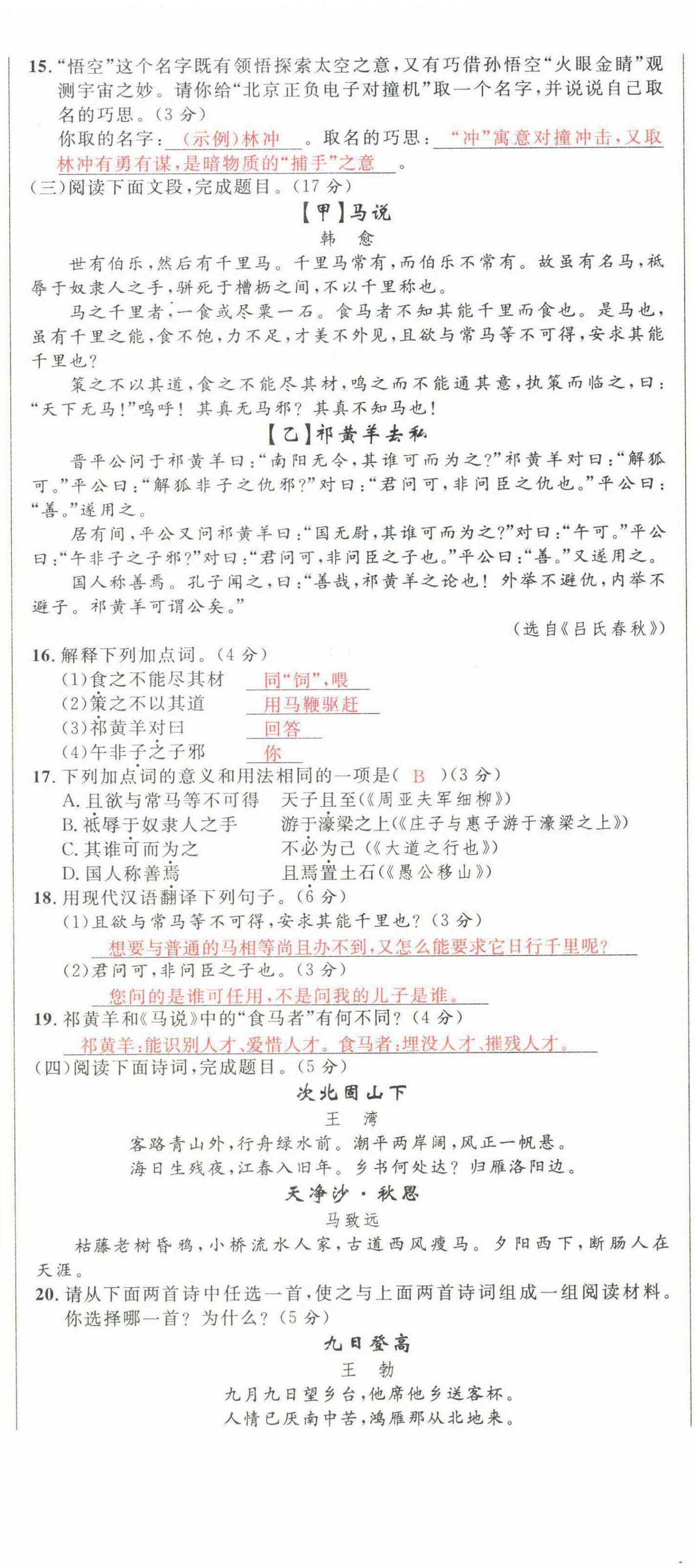 2022年中考先鋒語文人教版甘肅專版吉林出版集團 第5頁