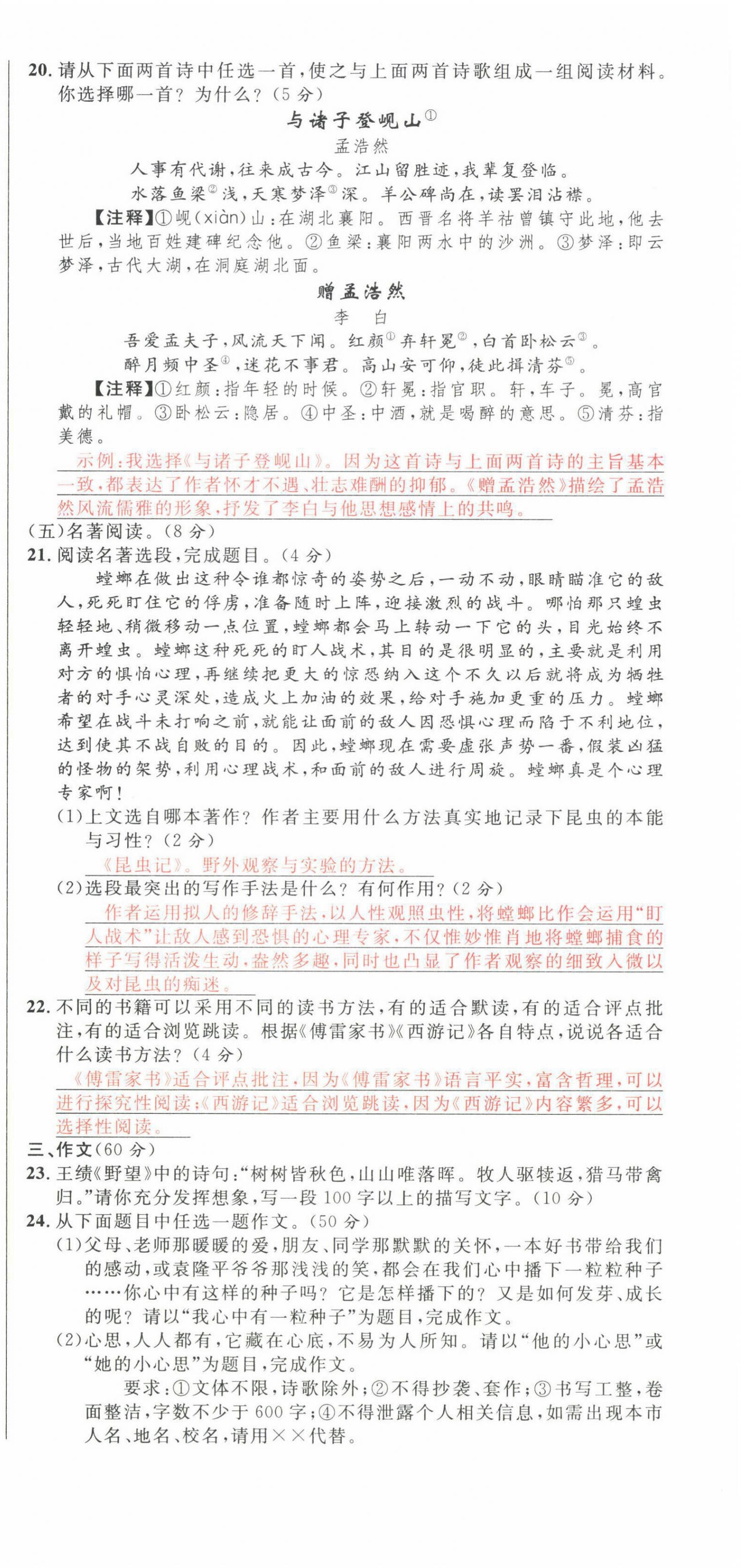 2022年中考先鋒語文人教版甘肅專版吉林出版集團 第24頁