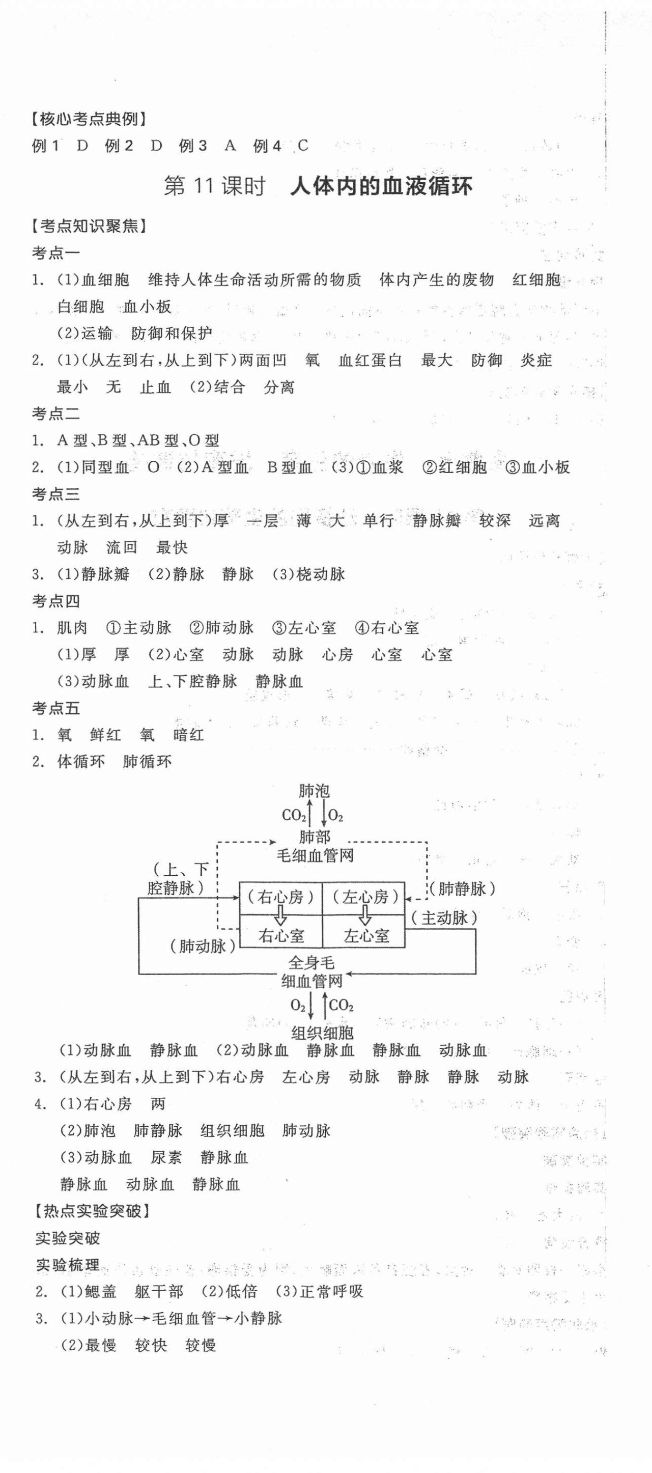 2022年全品中考復習方案生物人教版 第8頁