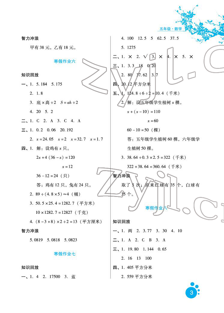 2022年寒假生活五年级数学区域专版河北人民出版社 参考答案第3页