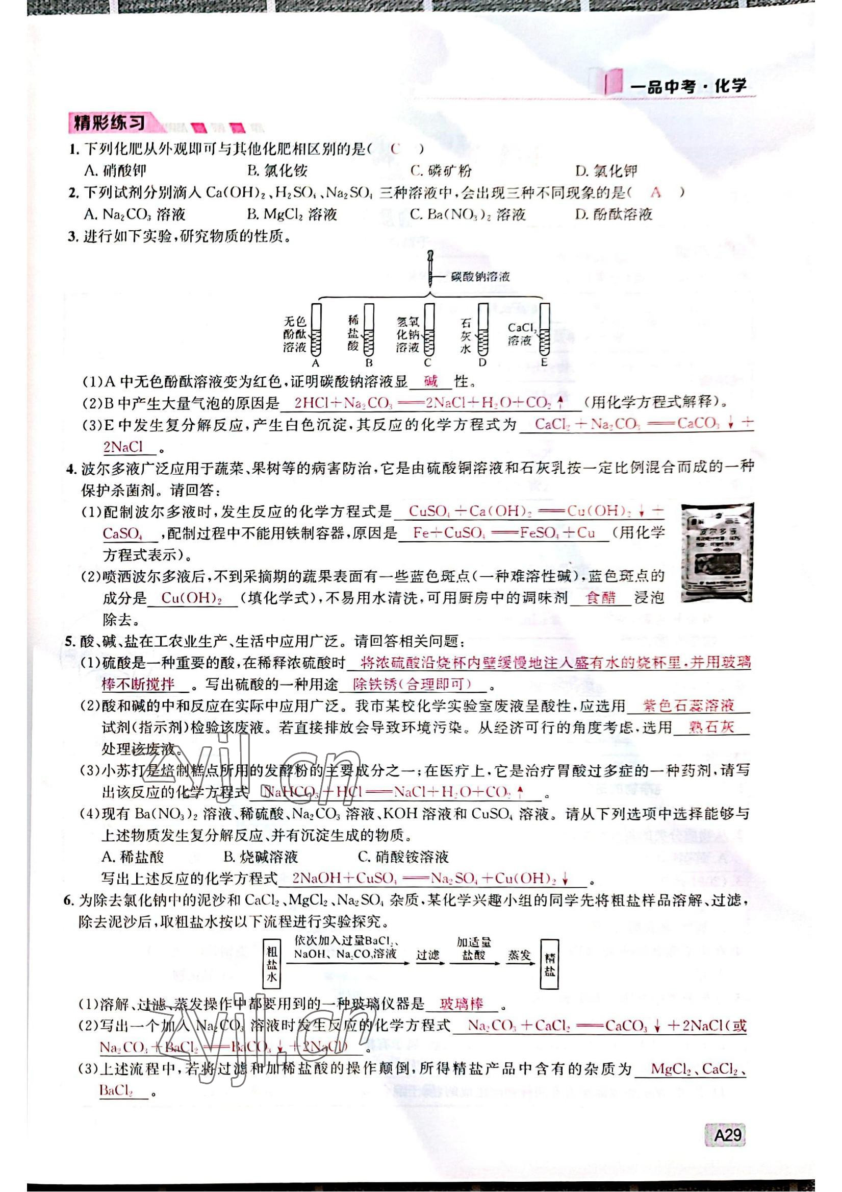 2022年一品中考化學(xué)中考人教版 參考答案第29頁