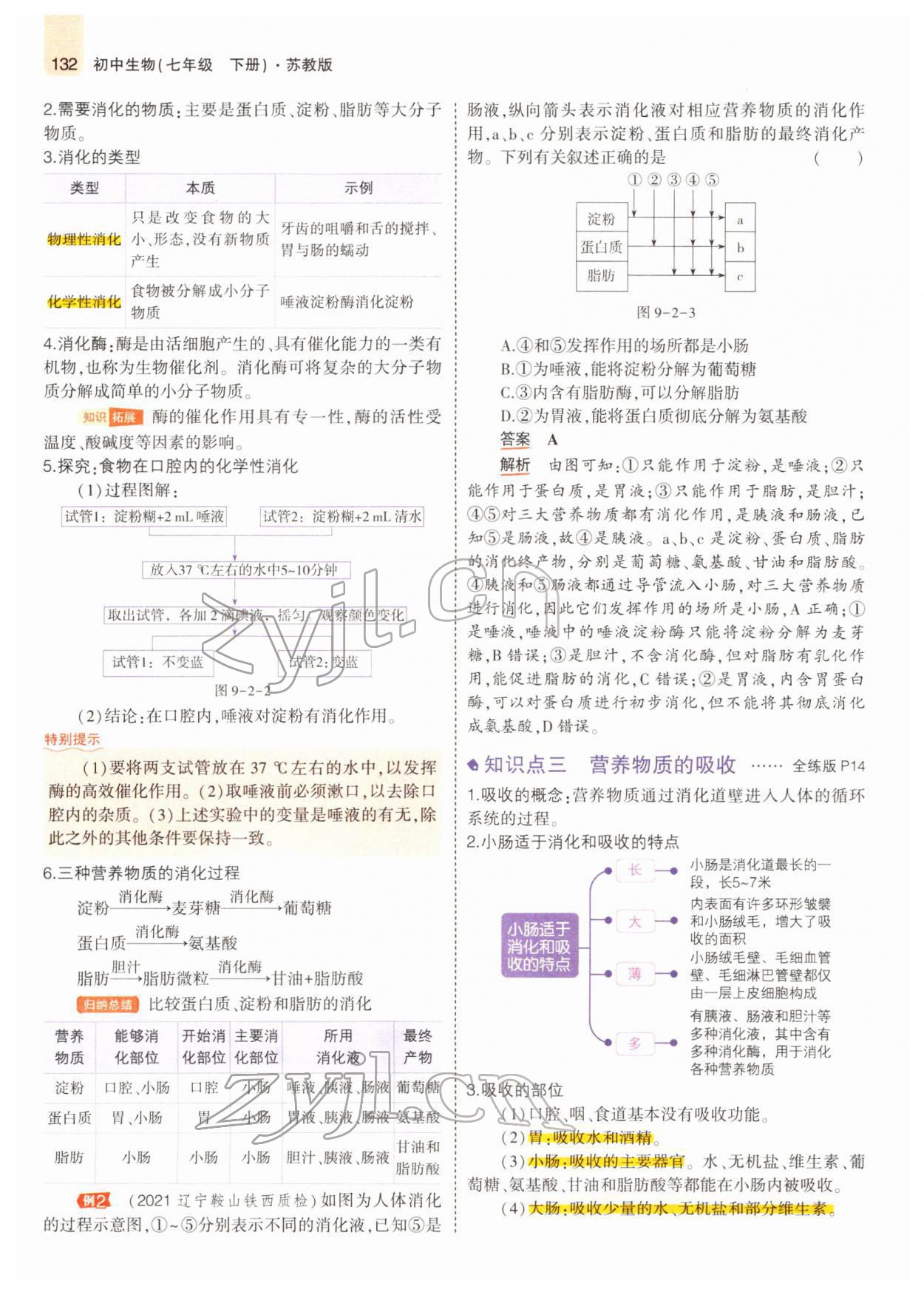 2022年教材課本七年級生物下冊蘇教版 參考答案第14頁