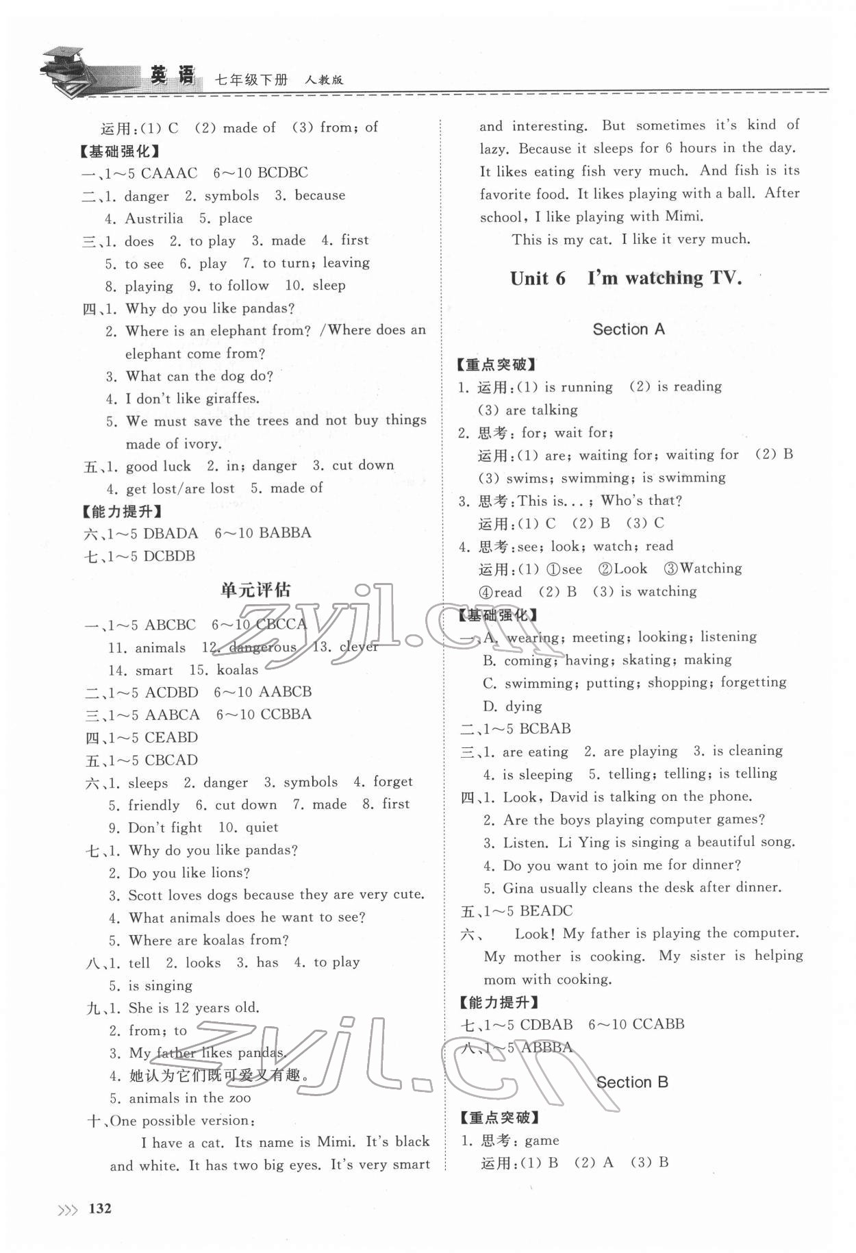 2022年同步練習(xí)冊七年級英語下冊人教版山東科學(xué)技術(shù)出版社 第6頁