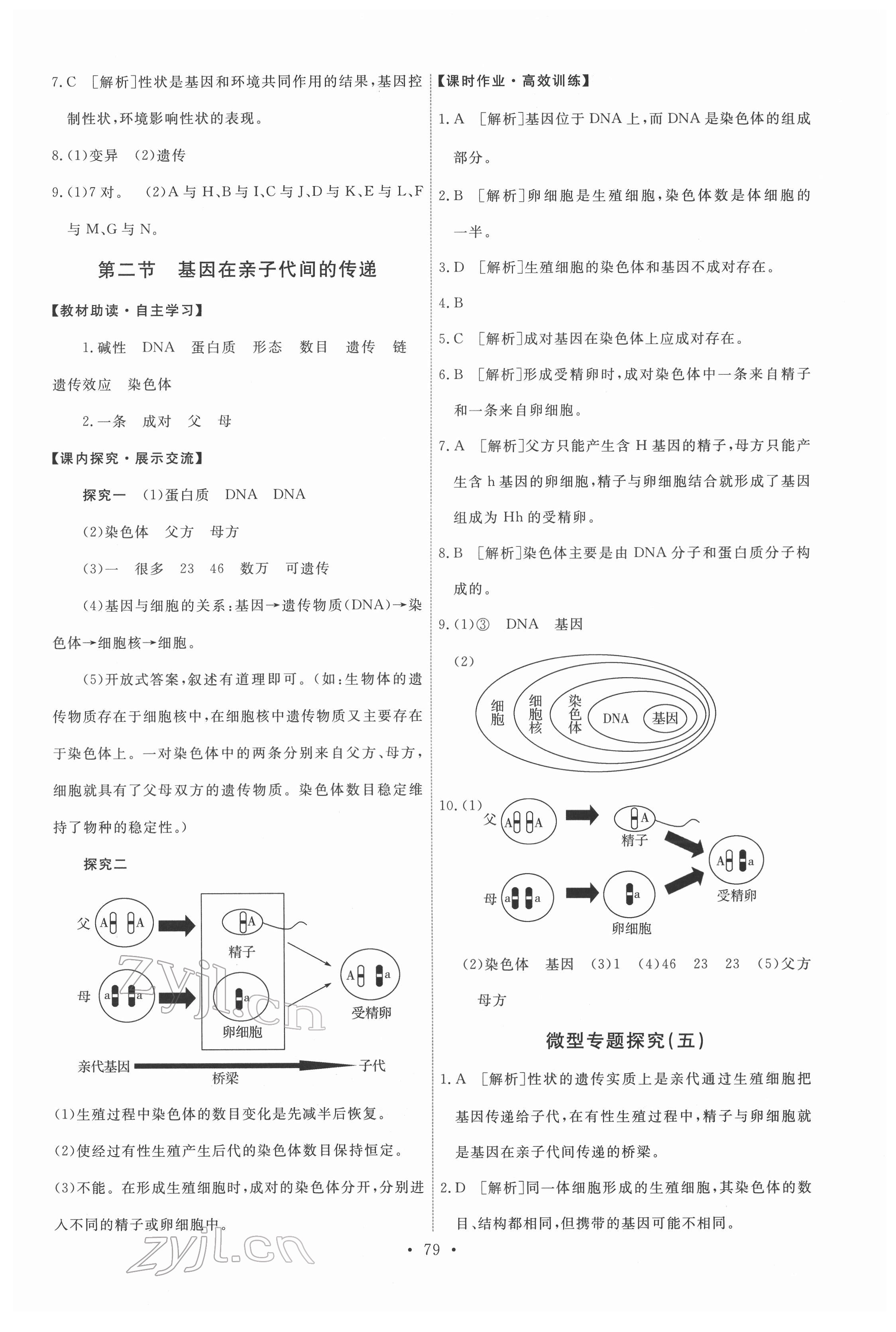 2022年能力培养与测试八年级生物下册人教版 第5页