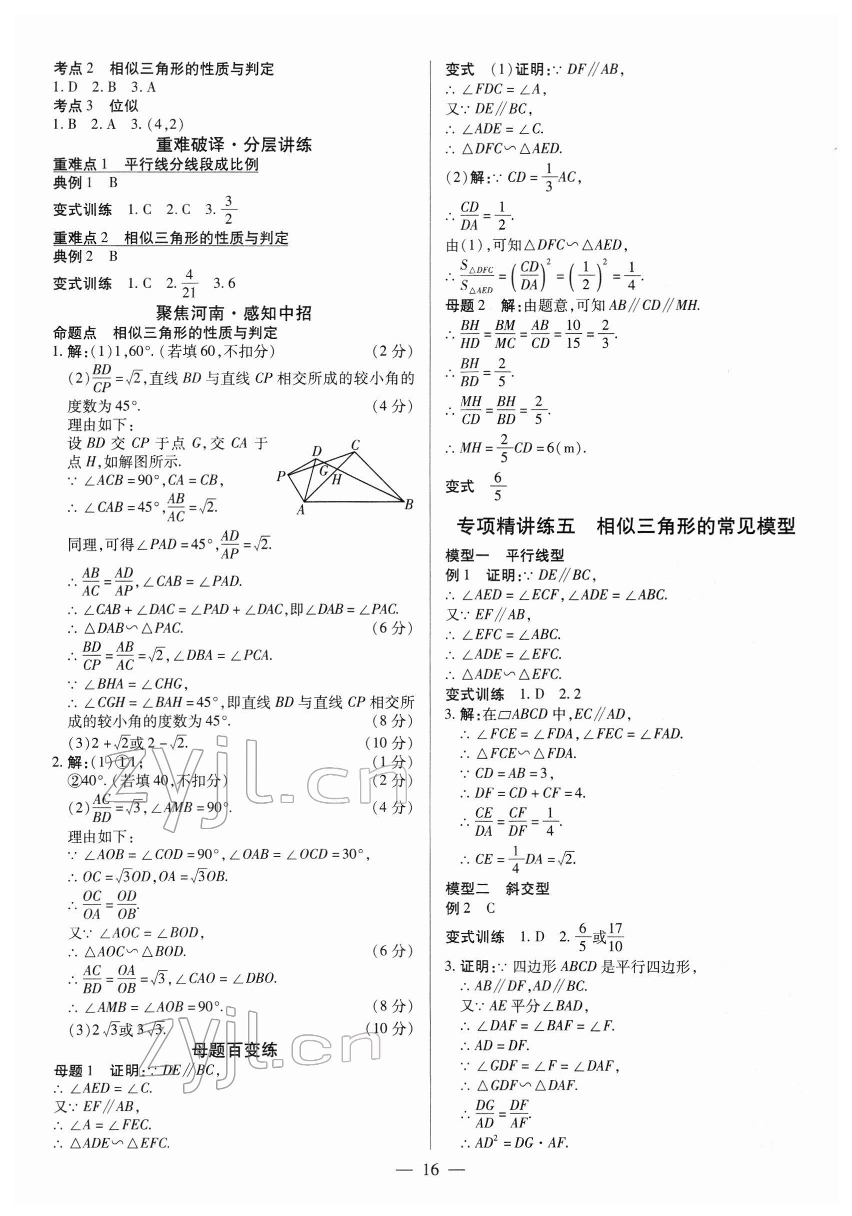 2022年中考通數(shù)學(xué)河南專版 參考答案第15頁