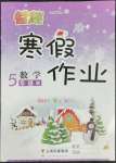 2022年智趣寒假作業(yè)云南科技出版社五年級(jí)數(shù)學(xué)人教版