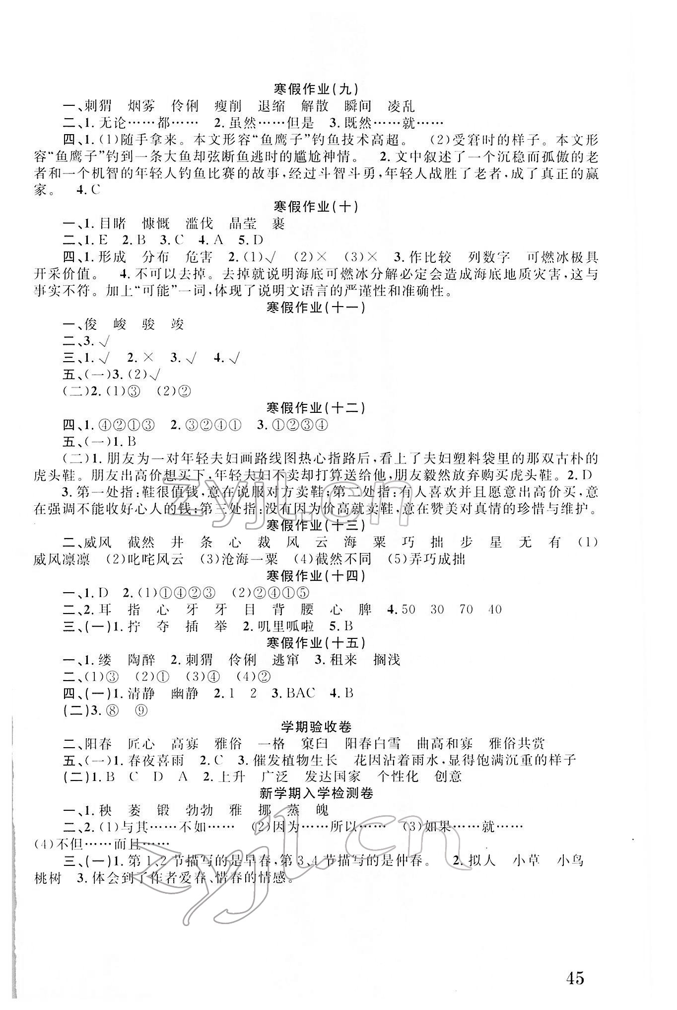 2022年寒假培优衔接六年级语文 参考答案第2页