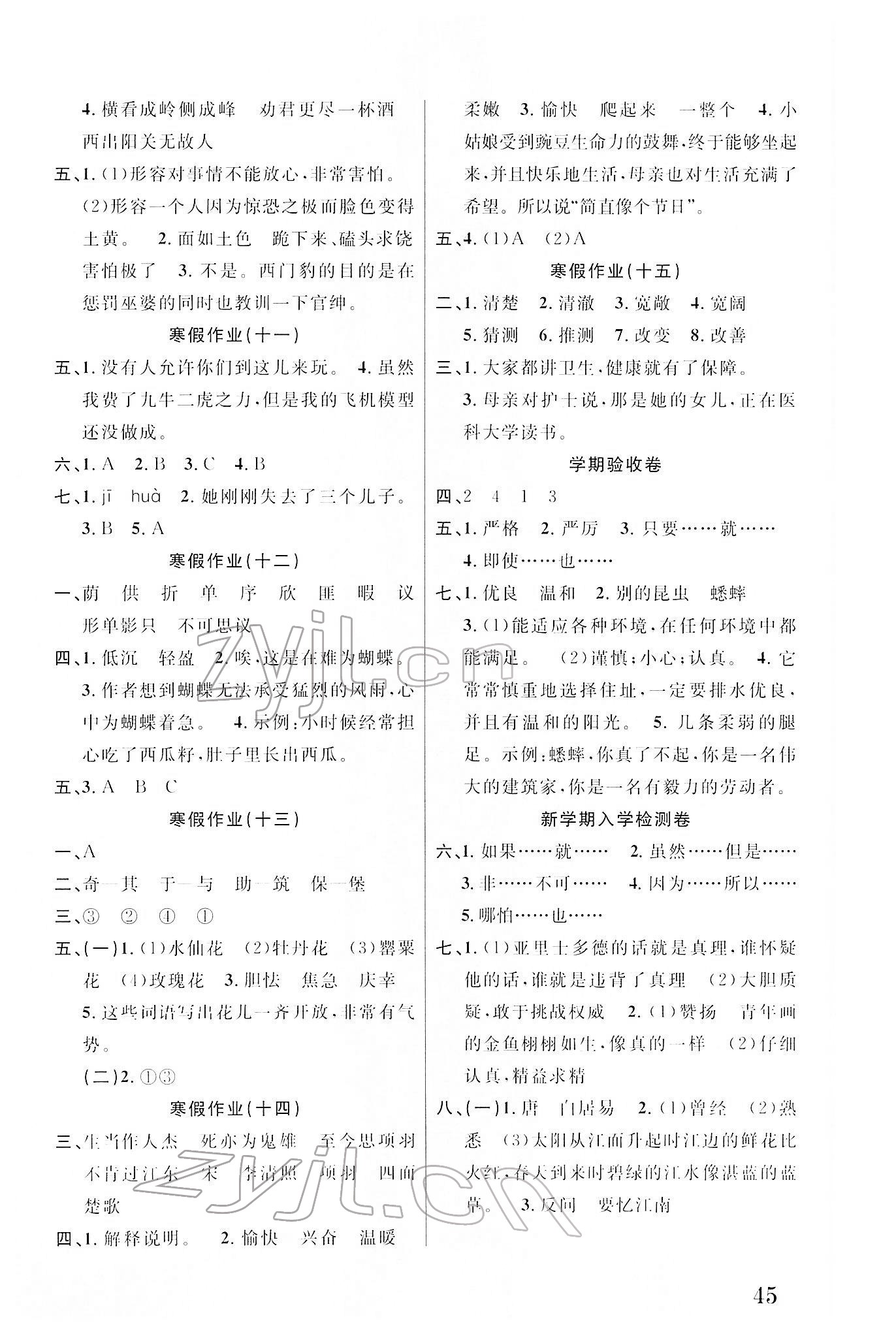 2022年寒假培优衔接四年级语文 参考答案第2页
