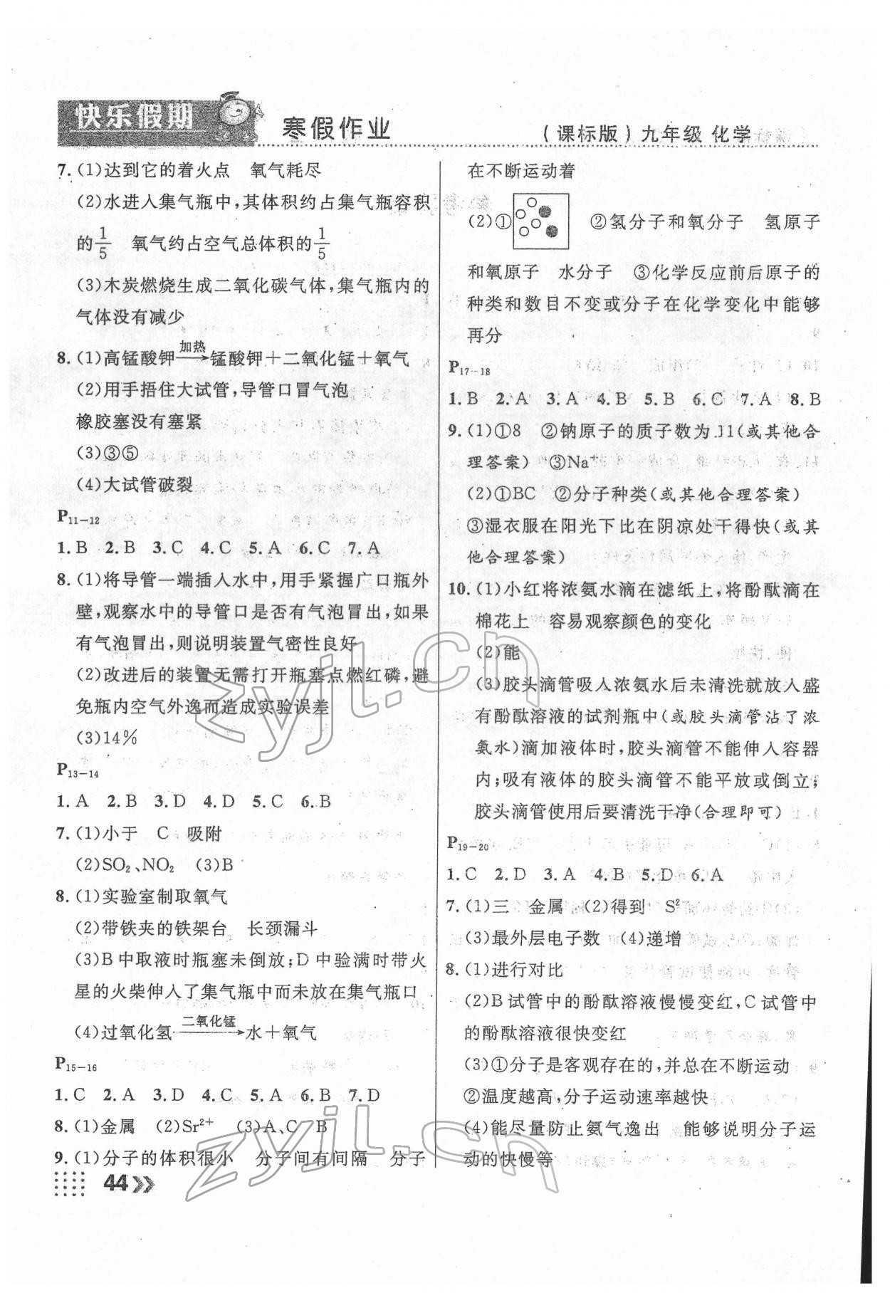 2022年本土假期总复习寒假九年级化学课标版 第2页