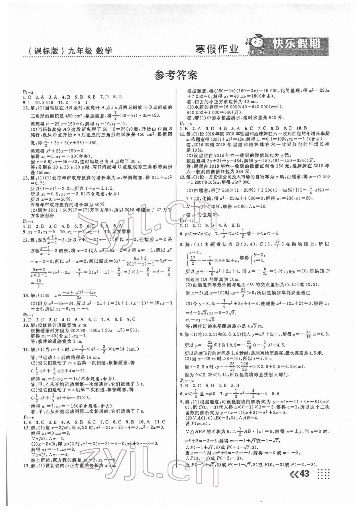 2022年本土假期總復(fù)習(xí)寒假九年級數(shù)學(xué)課標(biāo)版 第1頁