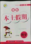 2022年本土假期總復(fù)習(xí)寒假七年級語文課標(biāo)版