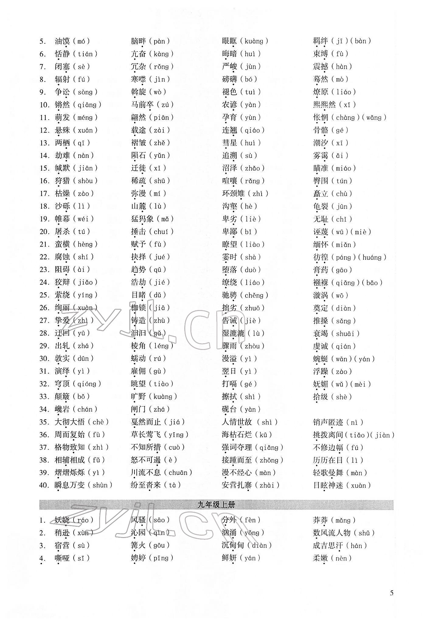 2022年中考高效复习学与教语文广州专用 第5页