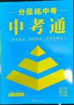 2022年中考通英語(yǔ)中考河南專版