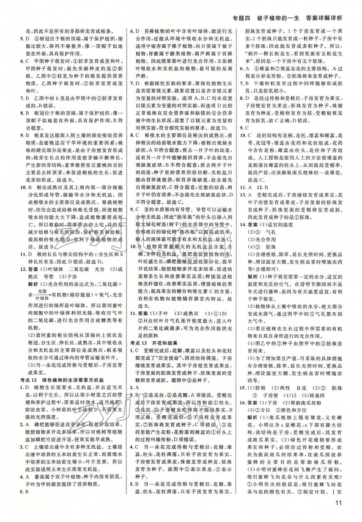 2022年中考高手生物 參考答案第11頁(yè)