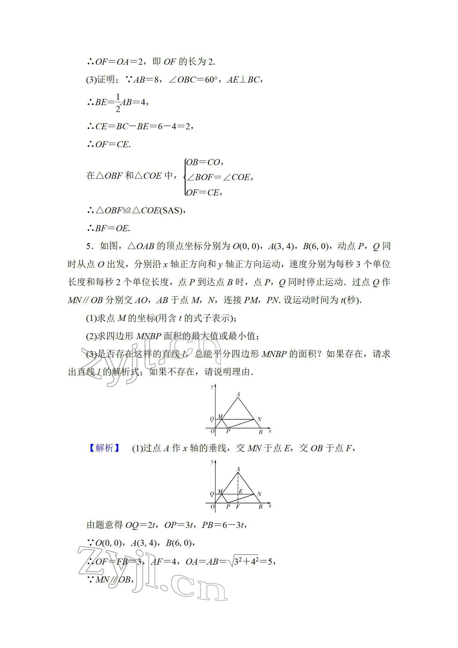 2022年中考復習指南長江少年兒童出版社數(shù)學人教版宜昌專版 參考答案第59頁