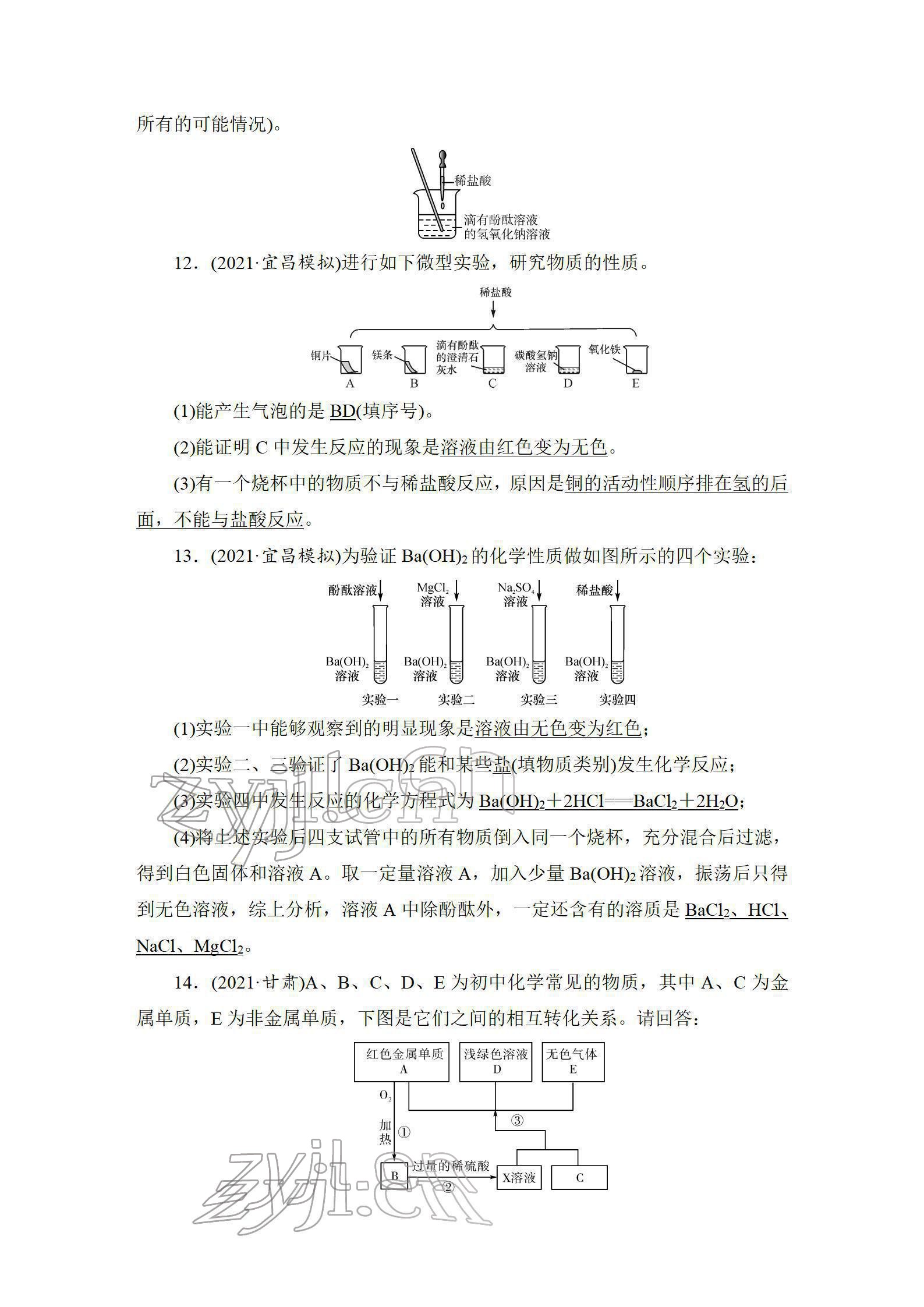 2022年中考復(fù)習(xí)指南長(zhǎng)江少年兒童出版社化學(xué)中考人教版 參考答案第45頁(yè)