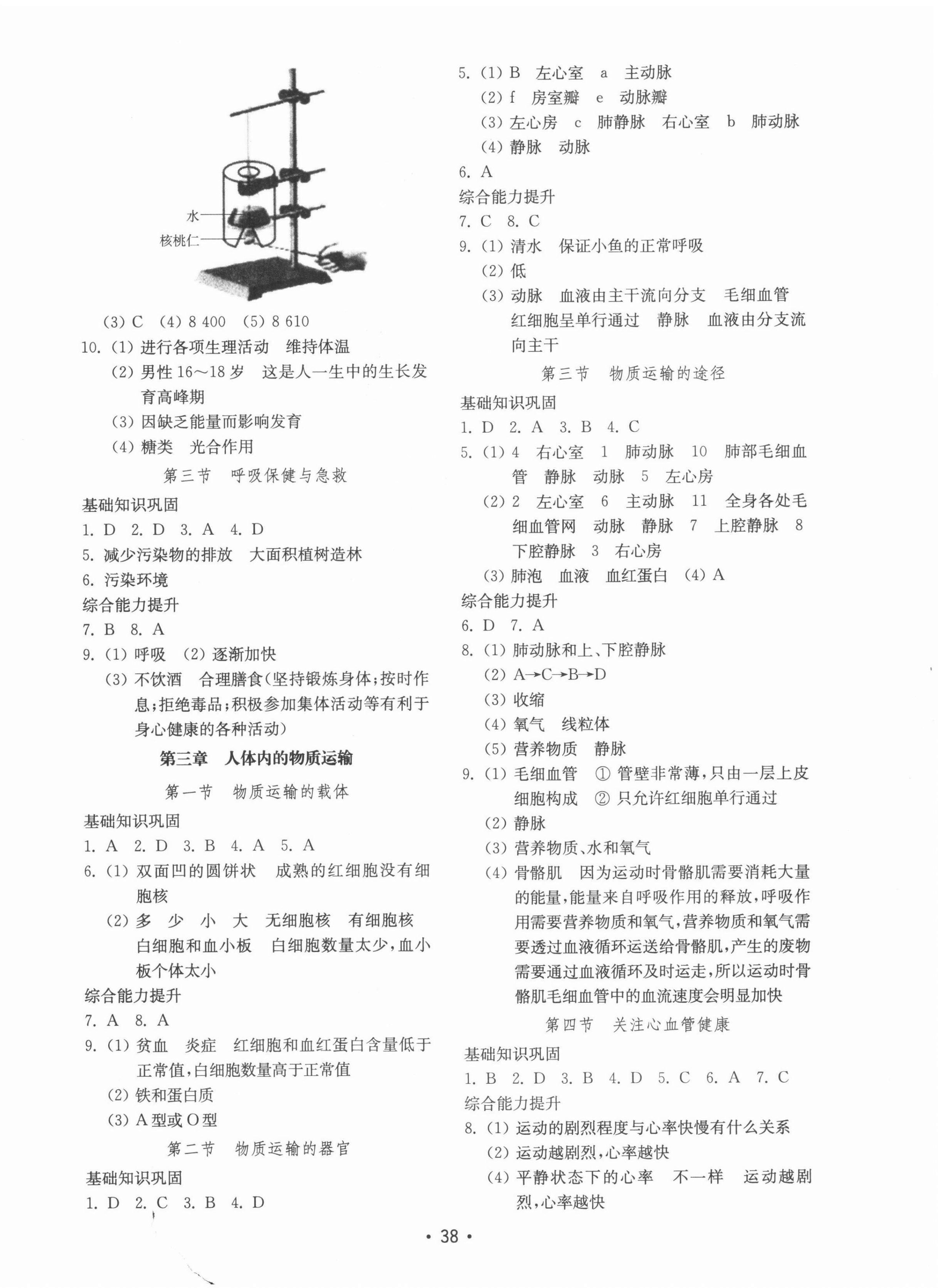 2022年初中基礎(chǔ)訓(xùn)練山東教育出版社七年級(jí)生物下冊(cè)濟(jì)南版 參考答案第2頁(yè)