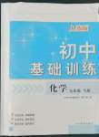 2022年初中基础训练九年级化学下册人教版山东教育出版社