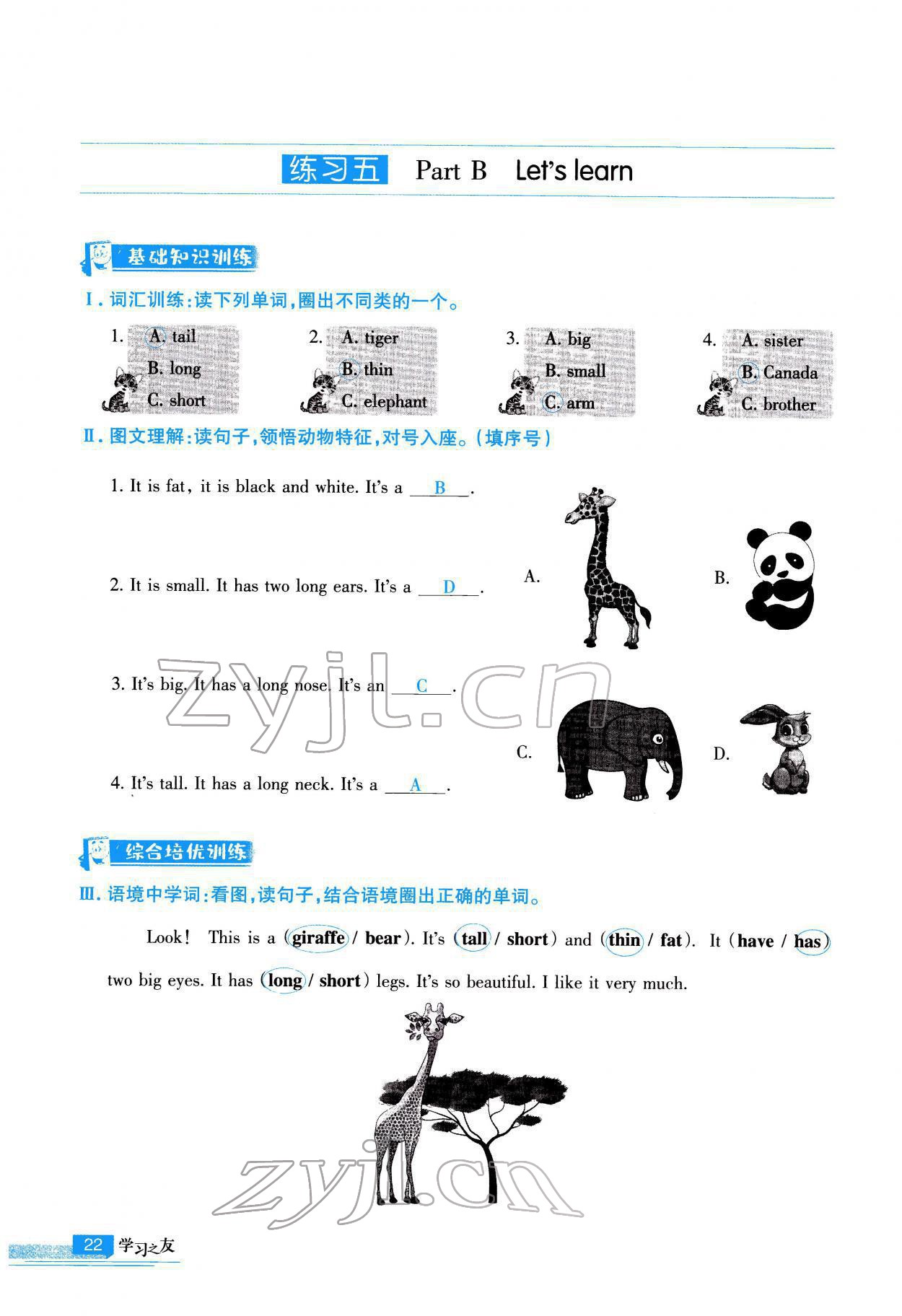 2022年學習之友三年級英語下冊人教版 參考答案第23頁