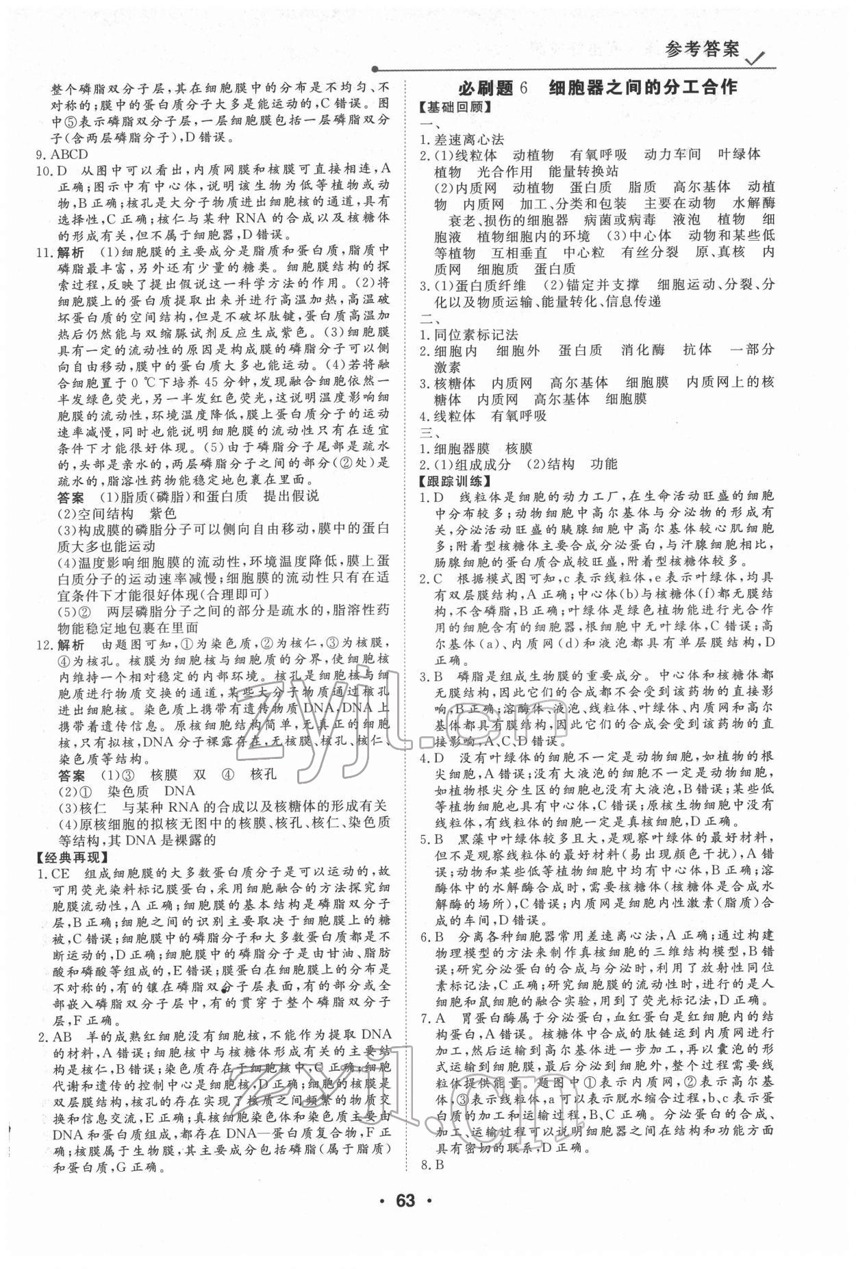 2022年高中假日必刷题高一生物 第5页