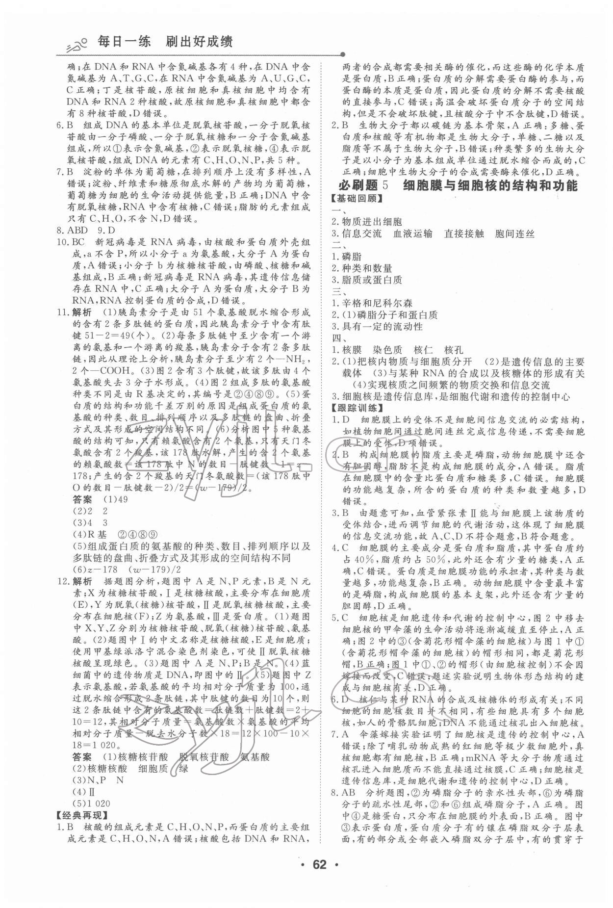 2022年高中假日必刷题高一生物 第4页