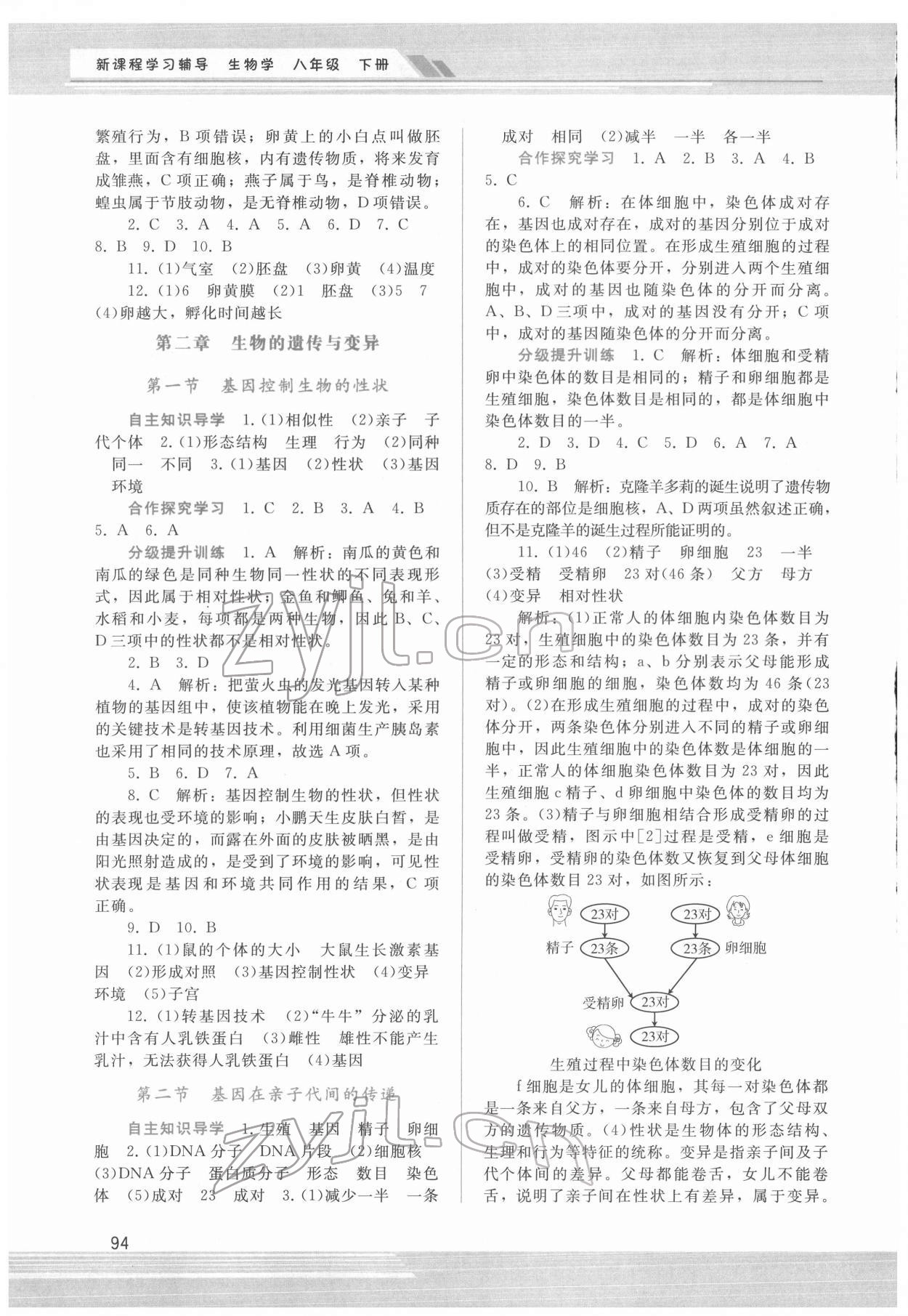 2022年新课程学习辅导八年级生物下册人教版 第2页