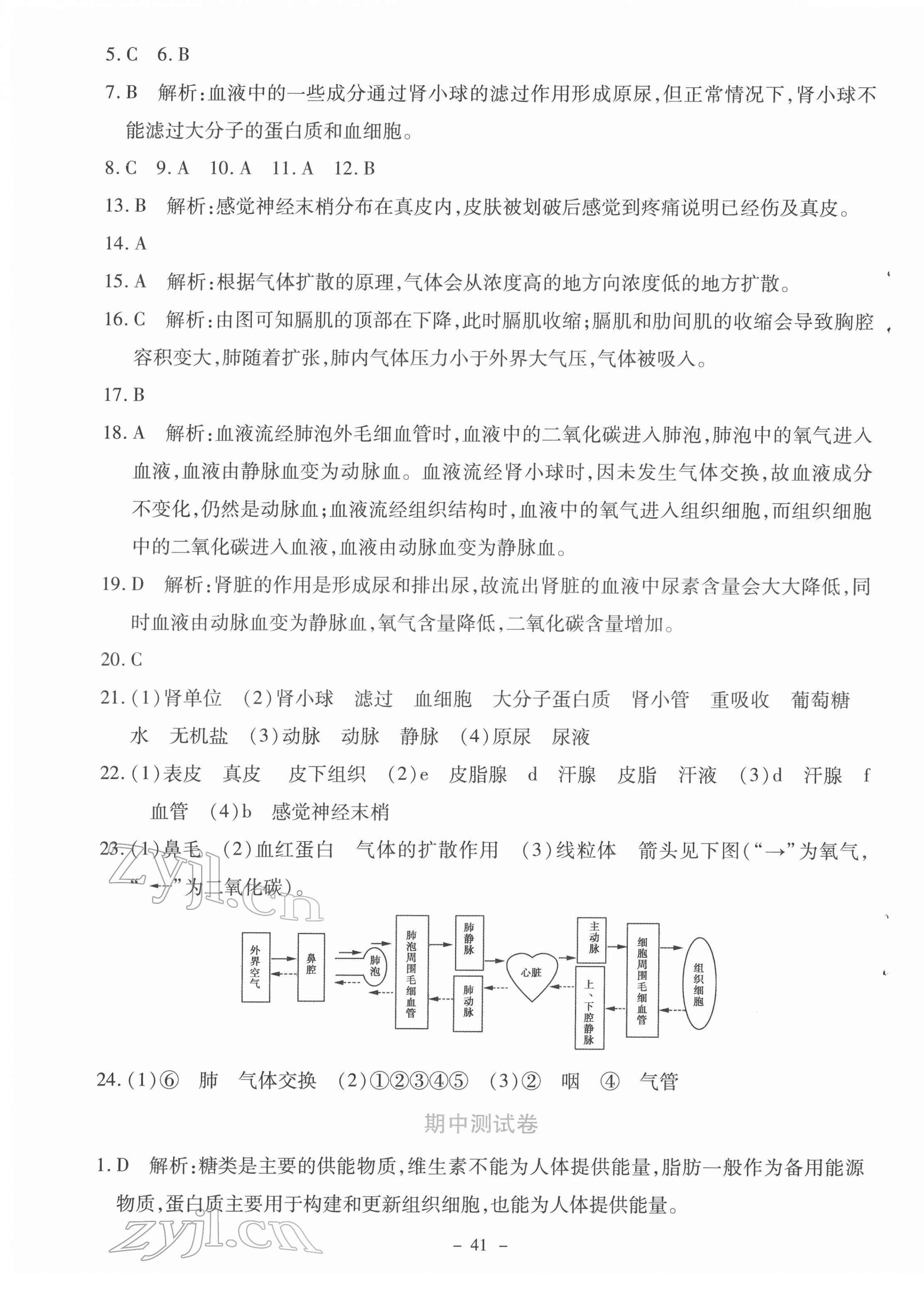 2022年课内课外直通车七年级生物下册北师大版福建专版 第5页