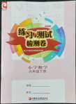 2022年練習(xí)與測試檢測卷六年級數(shù)學(xué)下冊蘇教版