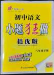 2022年初中語(yǔ)文小題狂做八年級(jí)下冊(cè)人教版提優(yōu)版