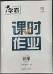 2022年学霸课时作业九年级化学下册人教版