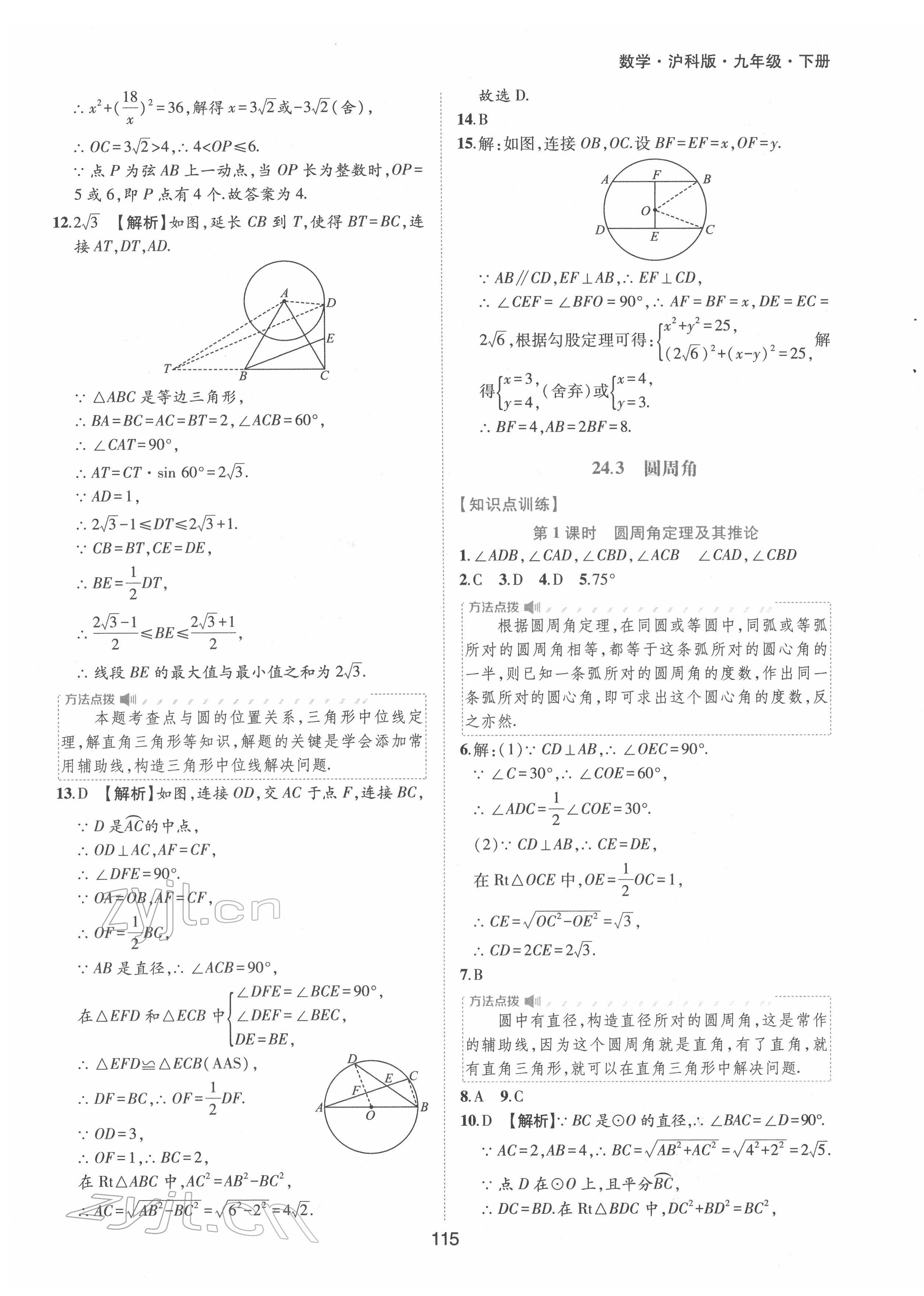 2022年新編基礎訓練九年級數(shù)學下冊滬科版黃山書社 參考答案第11頁